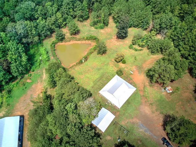 a view of a forest with trees in the background