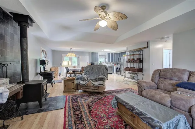 a view of a park with large trees