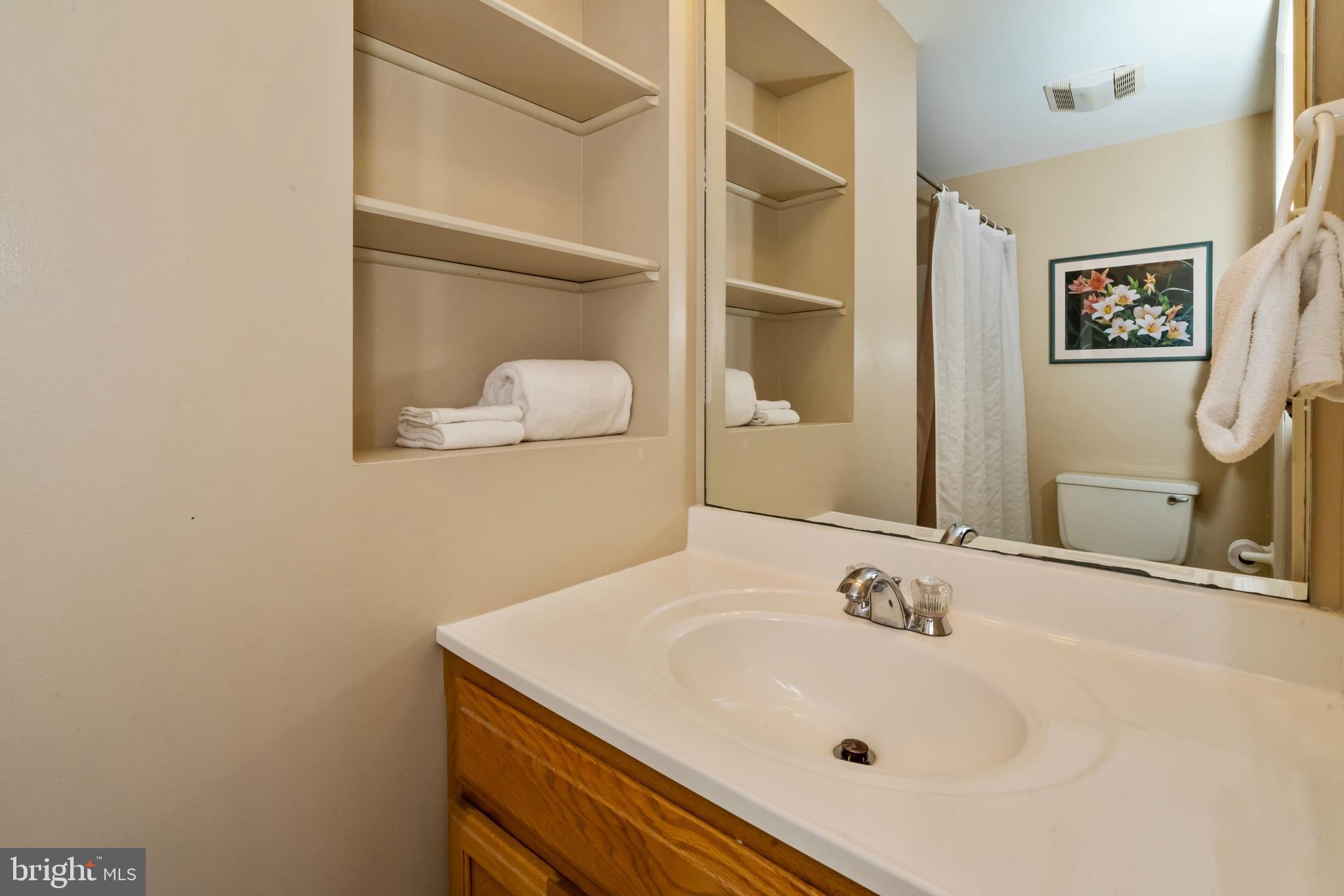 1244 Glendale Road Swanton, MD 21561 - Photo 46 of 52 Lower level full bath
