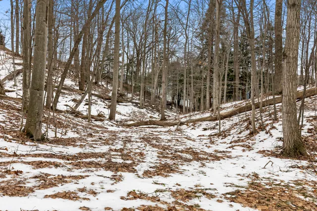 $1,950,000 | 3151 Crystal Drive, Beulah, MI 49617