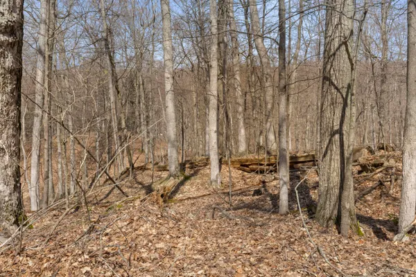 $1,950,000 | 3151 Crystal Drive, Beulah, MI 49617