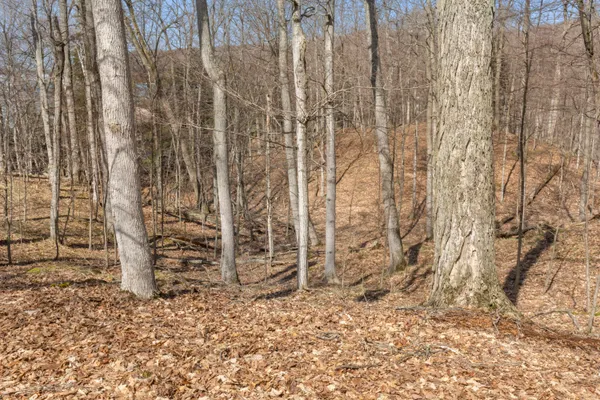 $1,950,000 | 3151 Crystal Drive, Beulah, MI 49617