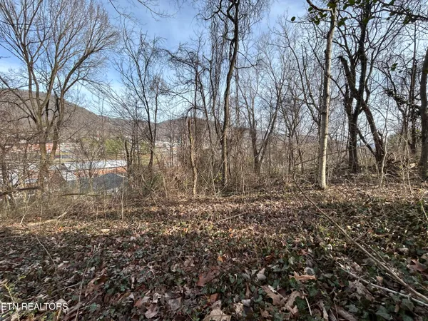 $11,000 | West Chestnut Street, La Follette, TN 37766