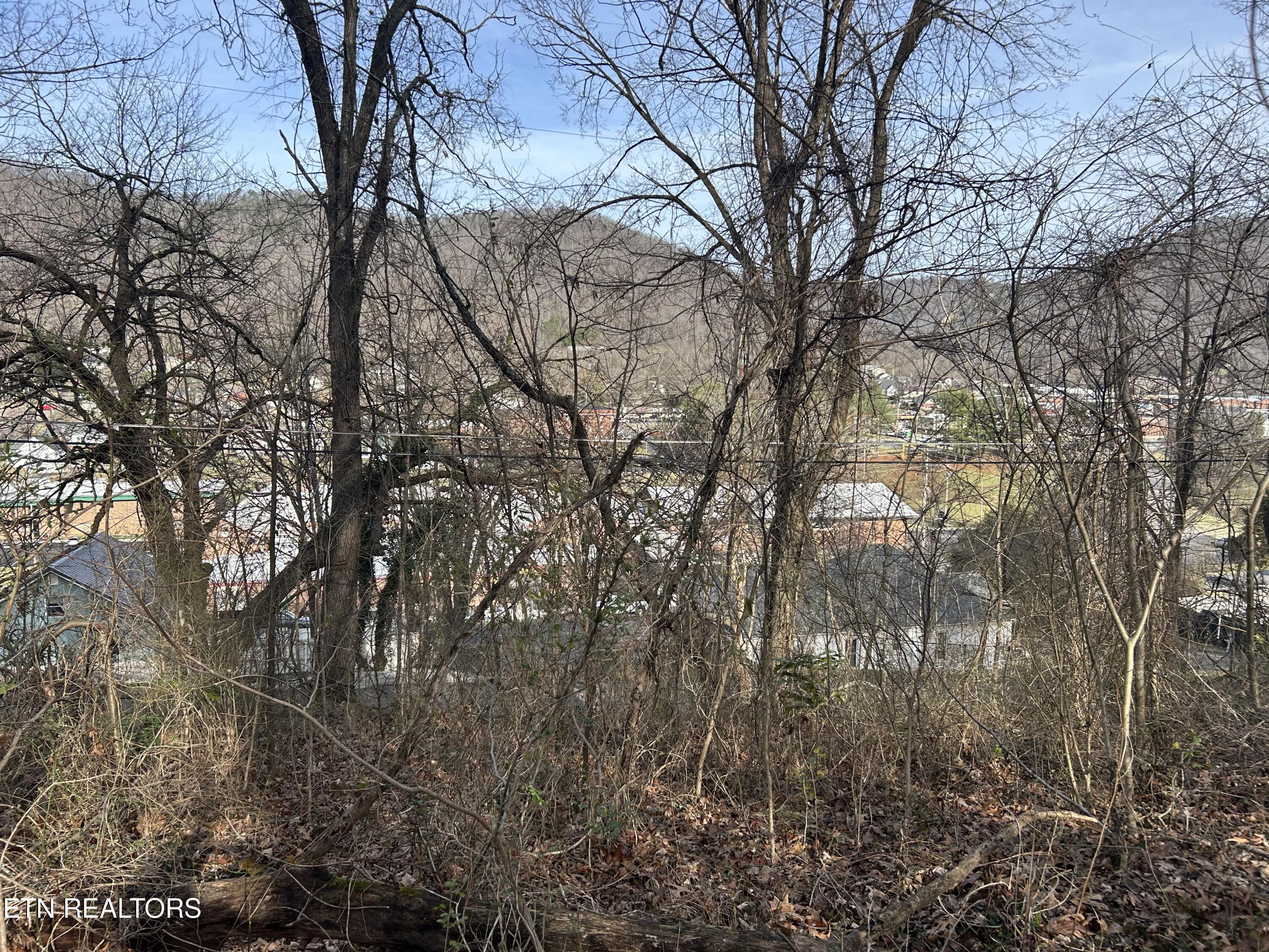 West Chestnut Street La Follette, TN 37766 - Photo 2 of 5 IMG_4411