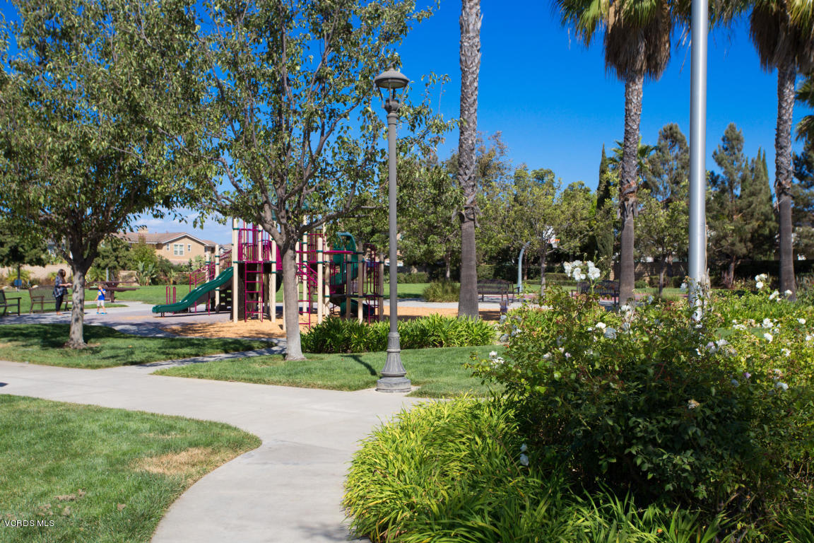 507 Spring Park Road Camarillo, CA 93012 - Photo 25 of 34 a view of a park with palm trees