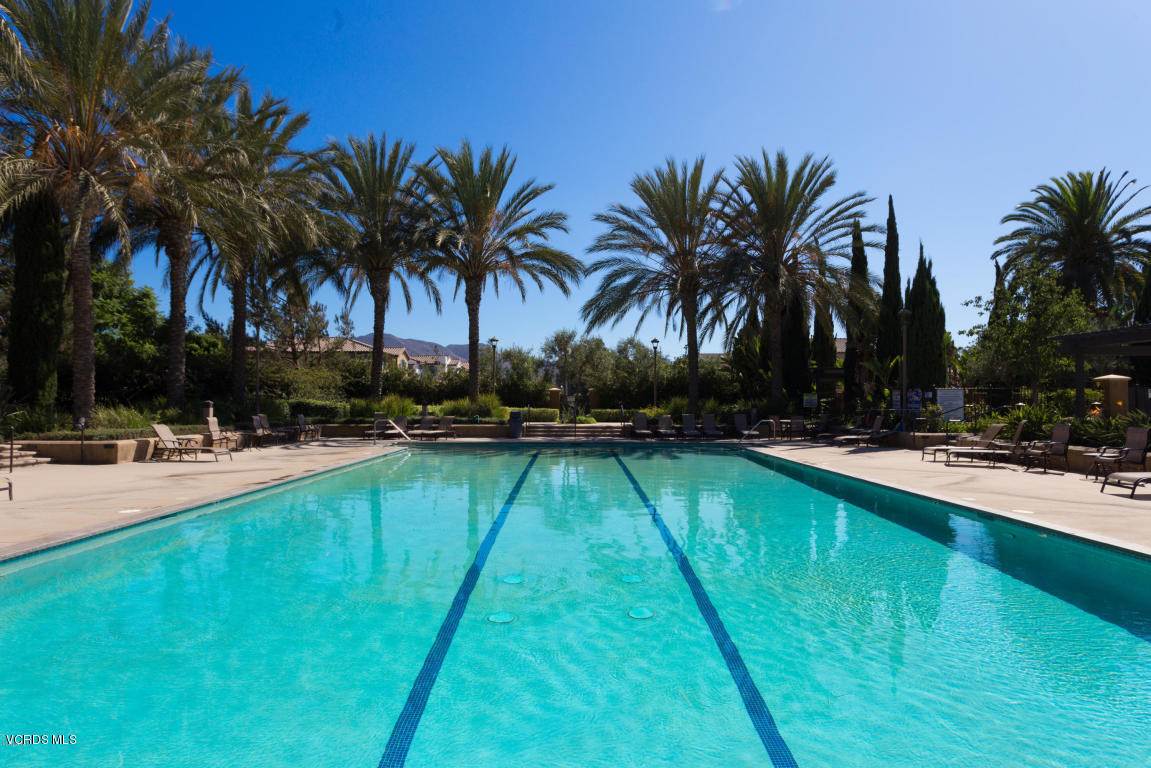 507 Spring Park Road Camarillo, CA 93012 - Photo 29 of 34 a view of swimming pool with lounge chair and palm trees