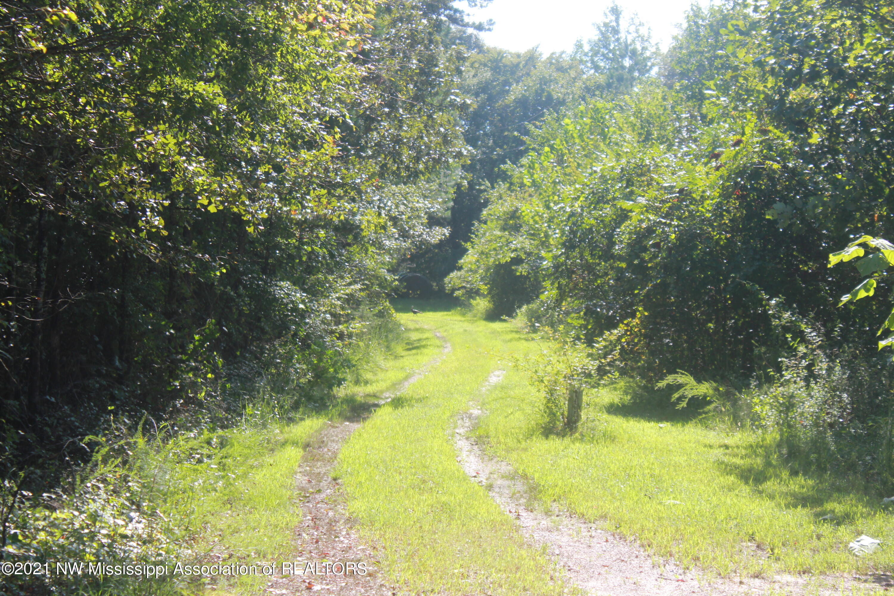 5695 Liberty Road Ashland, MS 38603 - Photo 1 of 48 IMG_7212