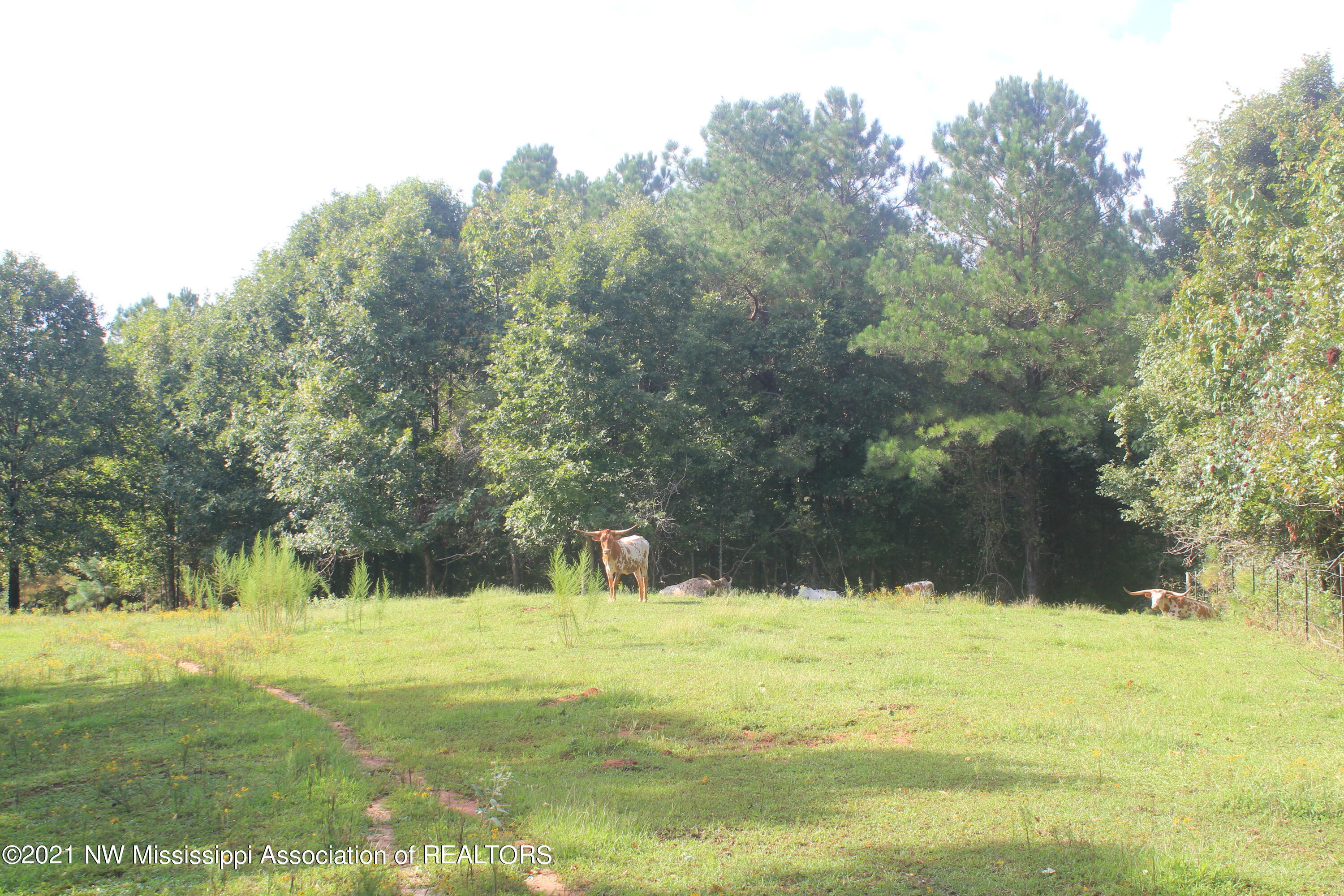 5695 Liberty Road Ashland, MS 38603 - Photo 13 of 48 IMG_7229