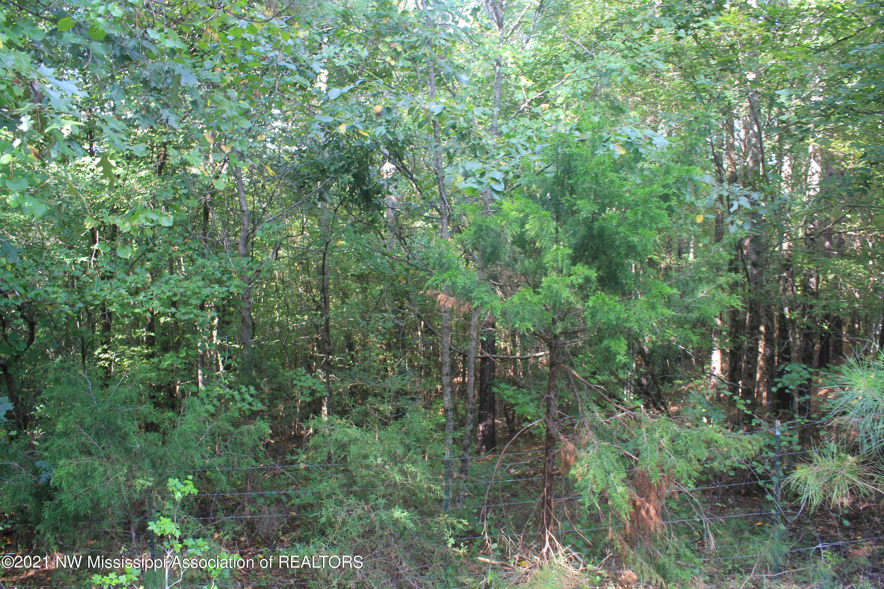 5695 Liberty Road Ashland, MS 38603 - Photo 17 of 48 IMG_7233