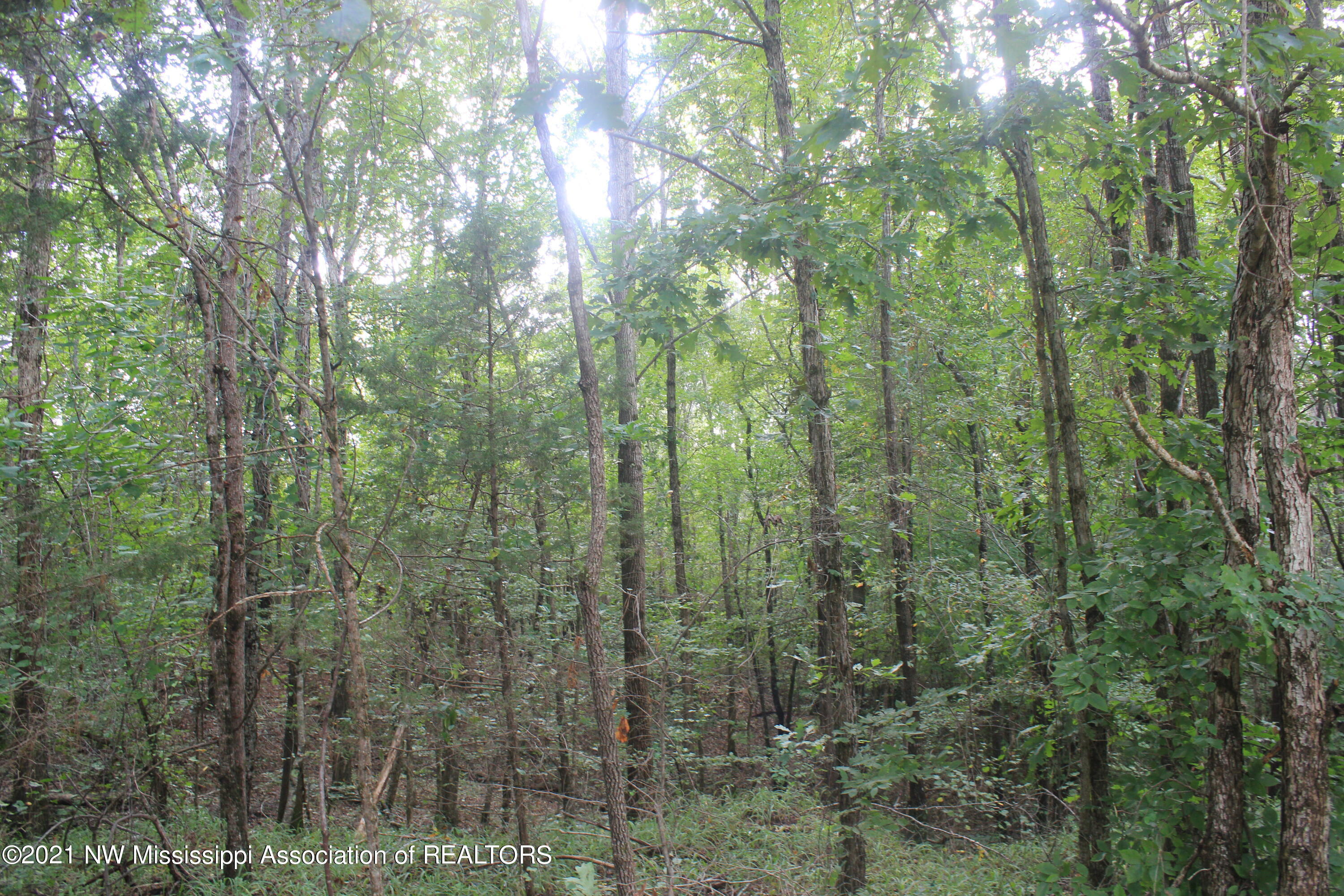 5695 Liberty Road Ashland, MS 38603 - Photo 21 of 48 IMG_7237