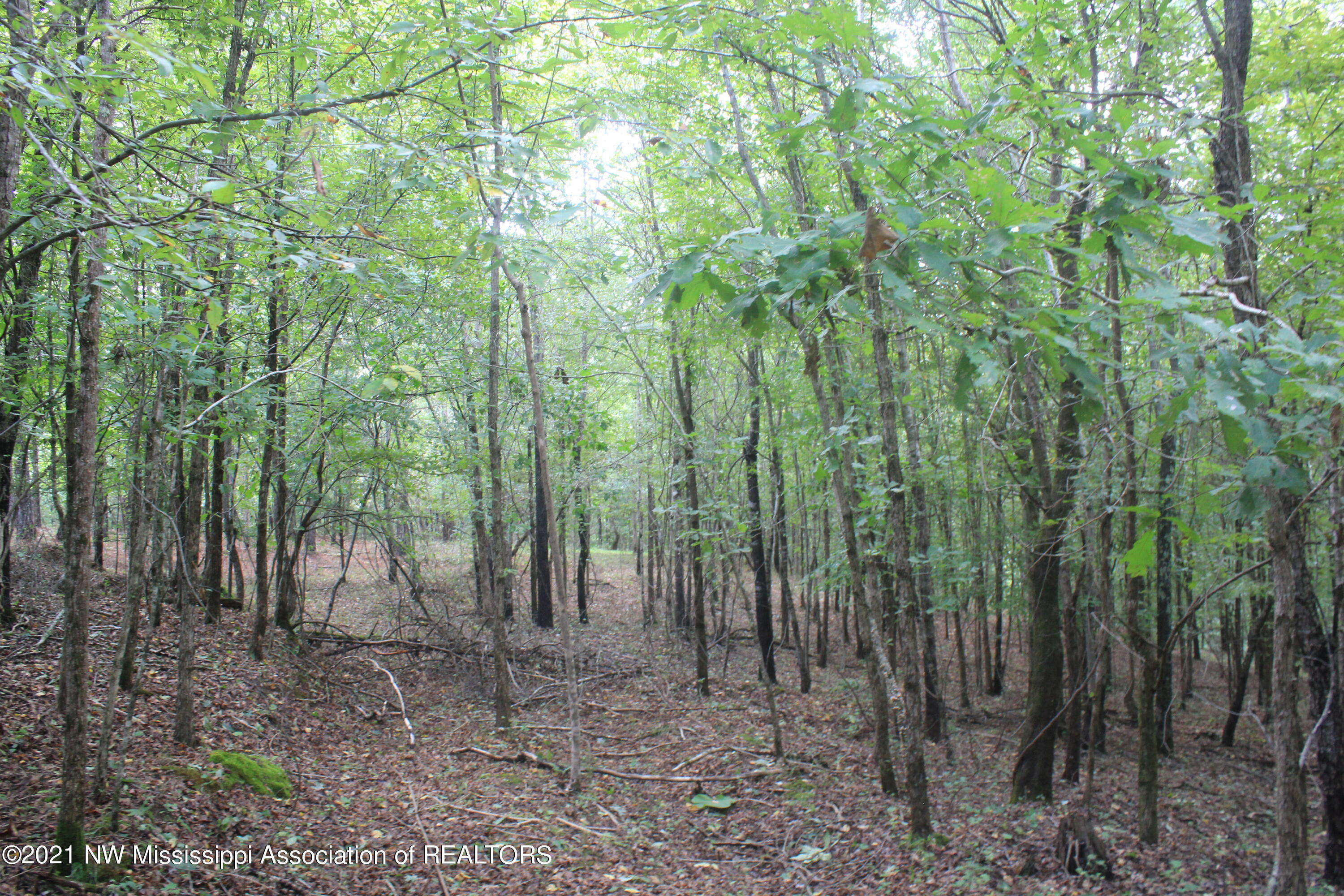 5695 Liberty Road Ashland, MS 38603 - Photo 25 of 48 IMG_7242