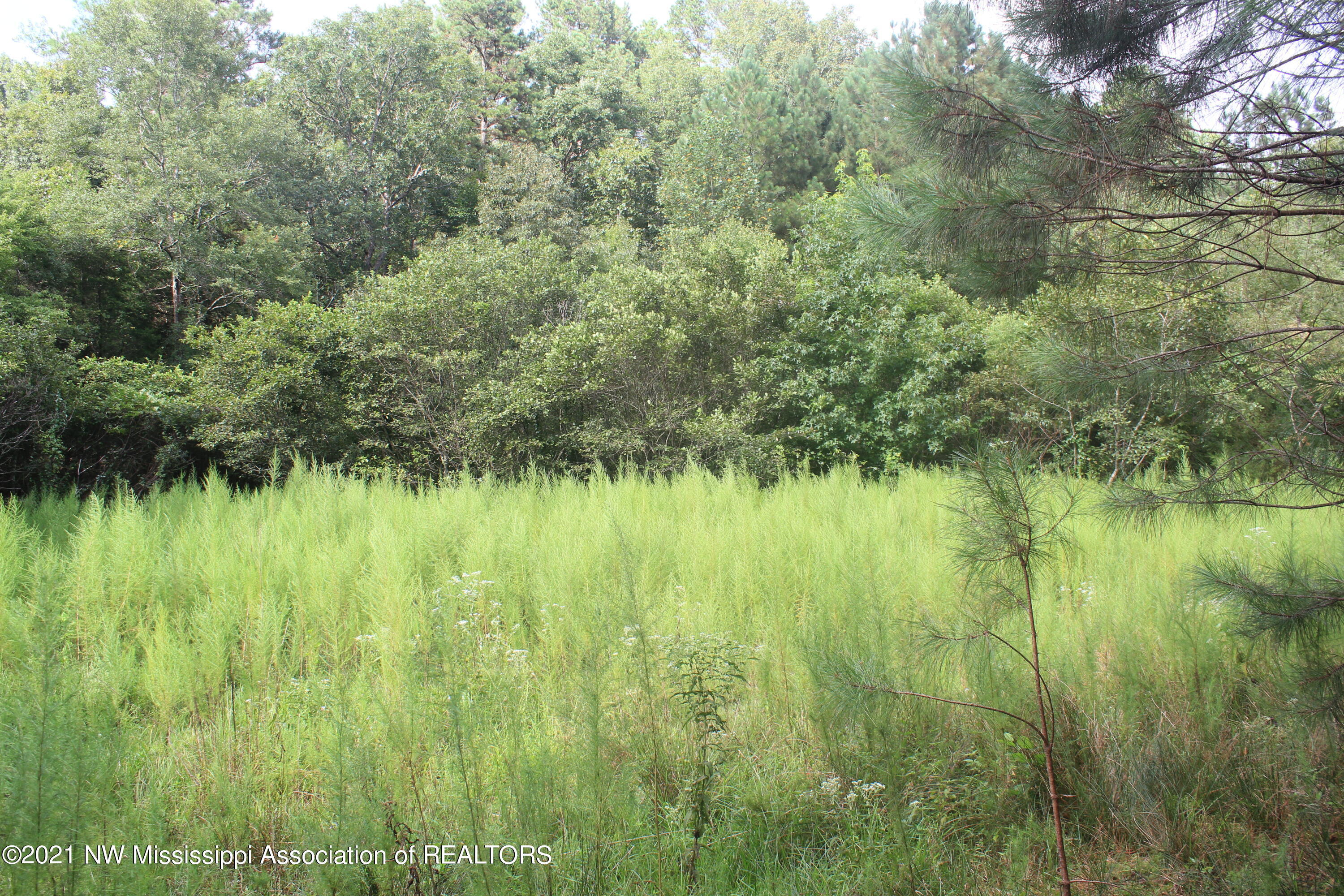 5695 Liberty Road Ashland, MS 38603 - Photo 34 of 48 IMG_7251