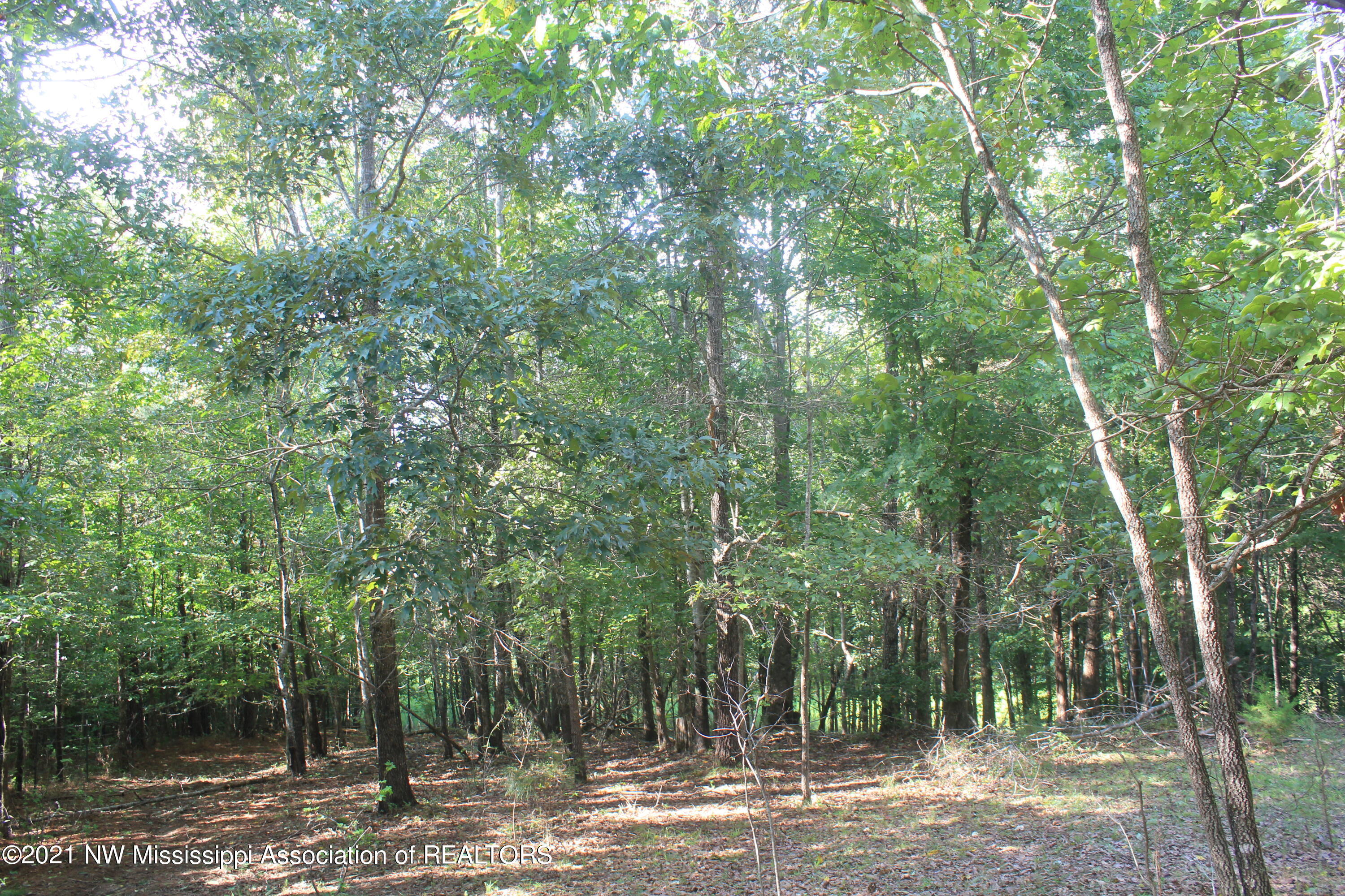 5695 Liberty Road Ashland, MS 38603 - Photo 41 of 48 IMG_7259