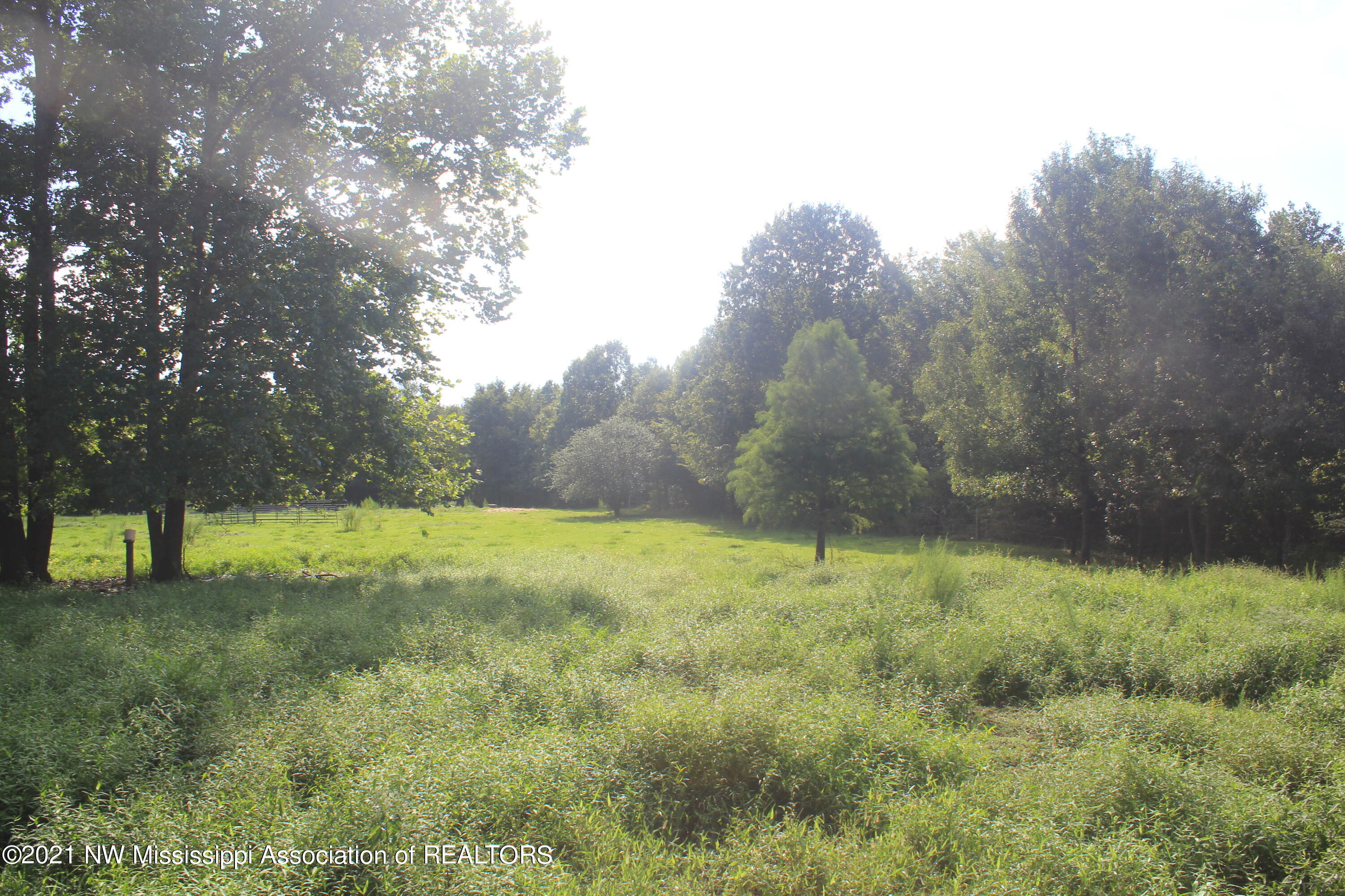 5695 Liberty Road Ashland, MS 38603 - Photo 10 of 48 IMG_7225