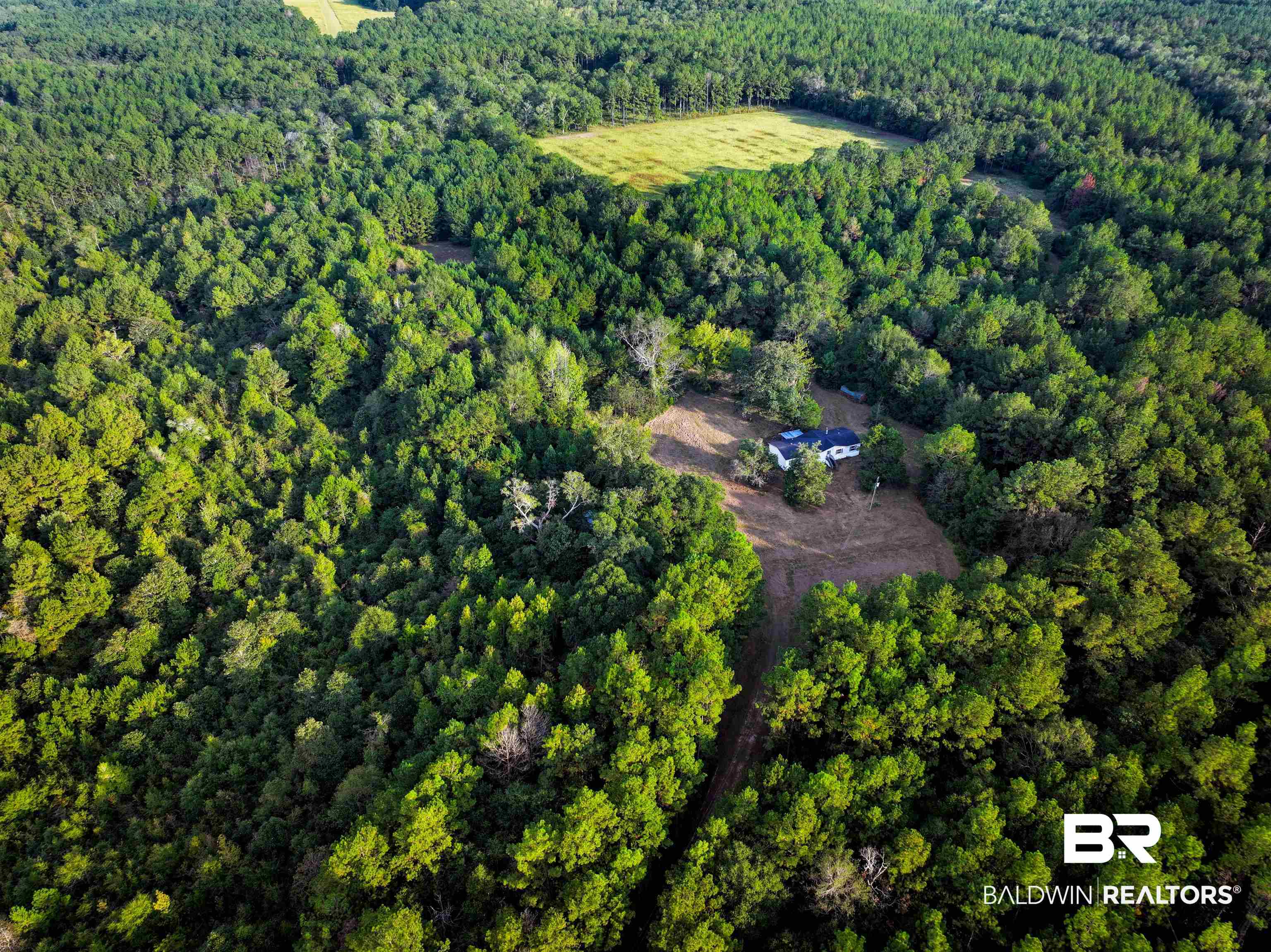 3346 Hoomesville Road Brewton, AL 36426 - Photo 3 of 16 Aerial view of property and surrounding area featuring a forest