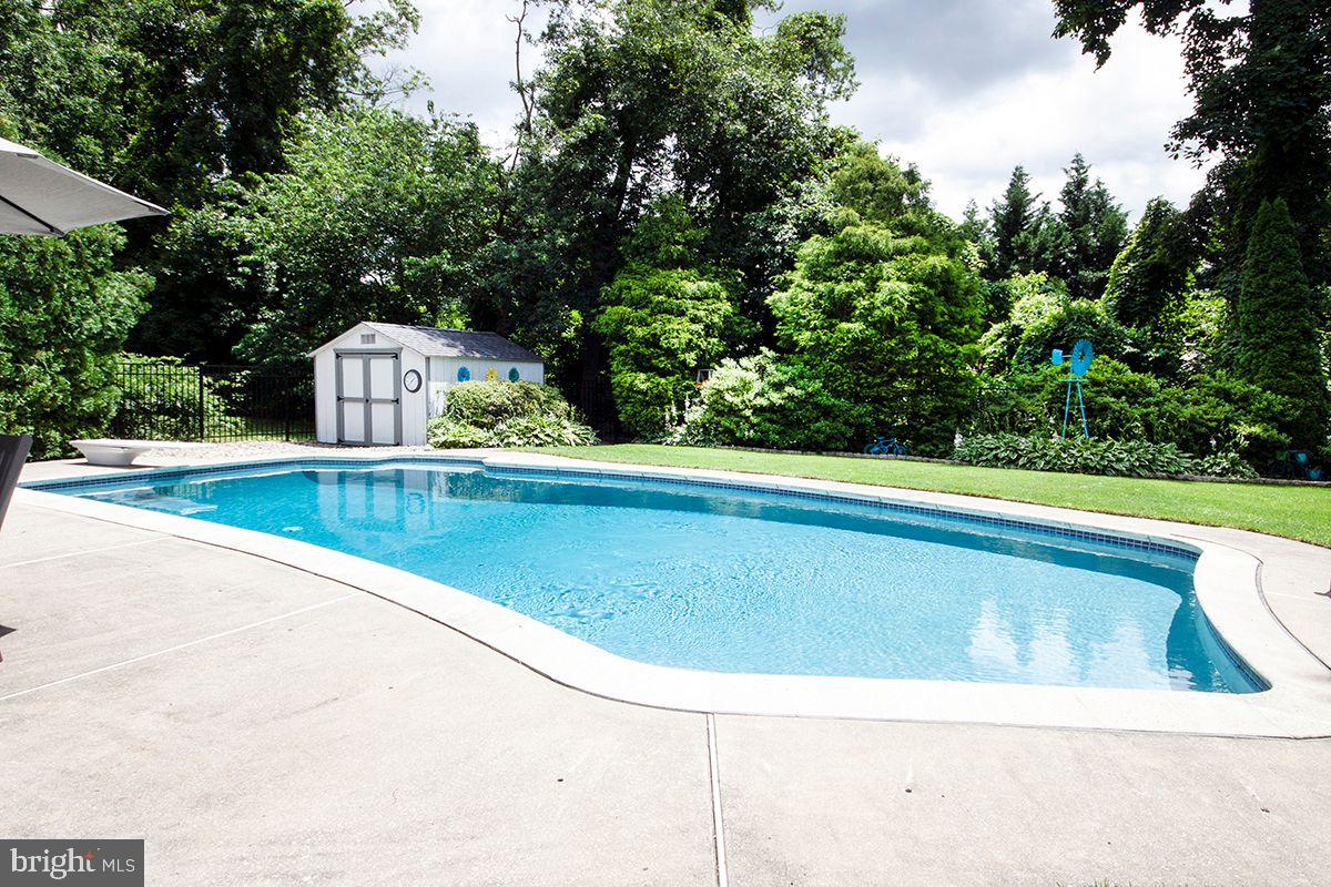 Exterior Back: In-Ground Pool