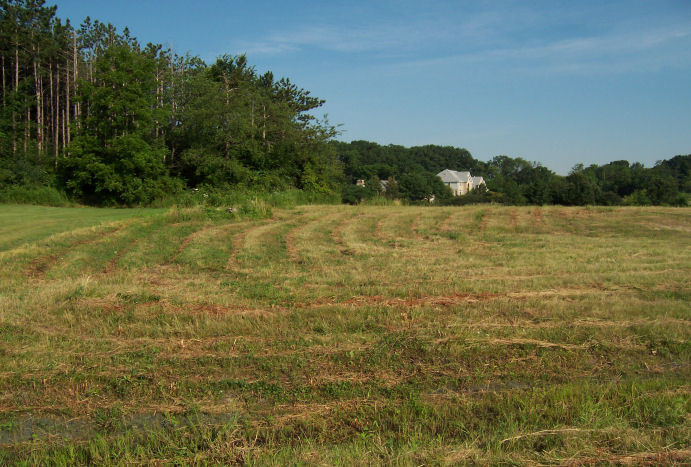 Pine Hill L-17 Pine Hl  