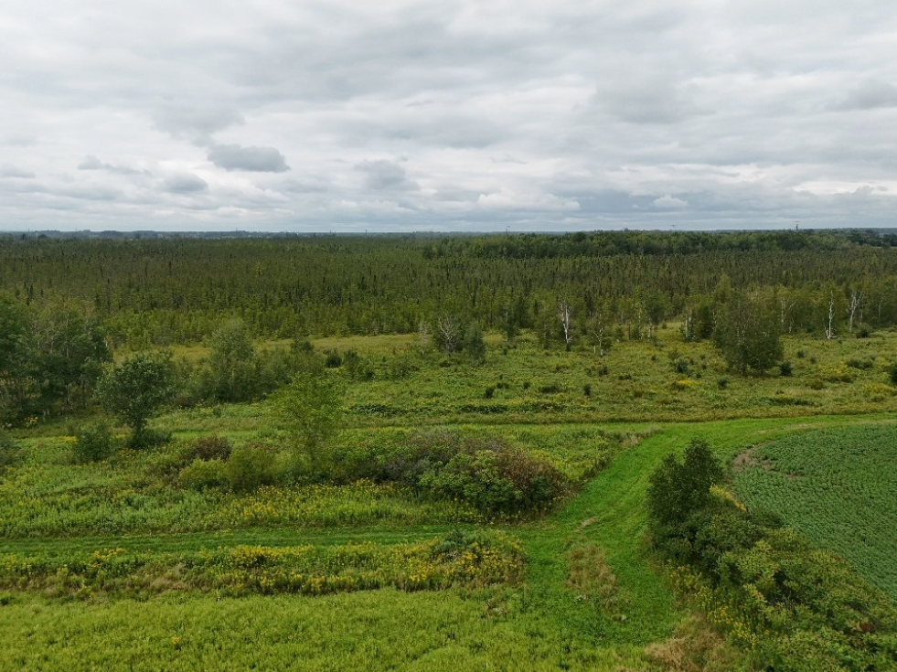 Lot Homestead Homestead Road Conrath, WI 54731 - Photo 2 of 17 Gallery Image 2
