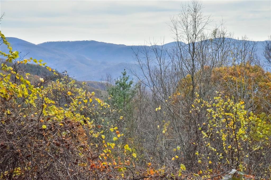 49 Hickory Forest Road, Unit 18 Fairview, NC 28730 - Photo 3 of 21 Gallery Image 3