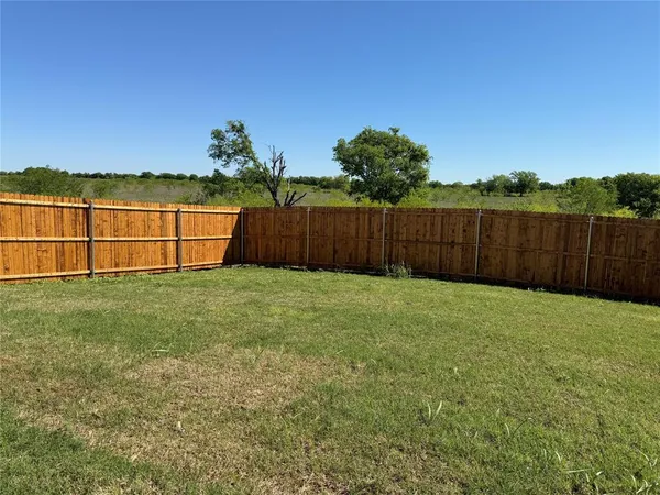 a view of a backyard with a large tree
