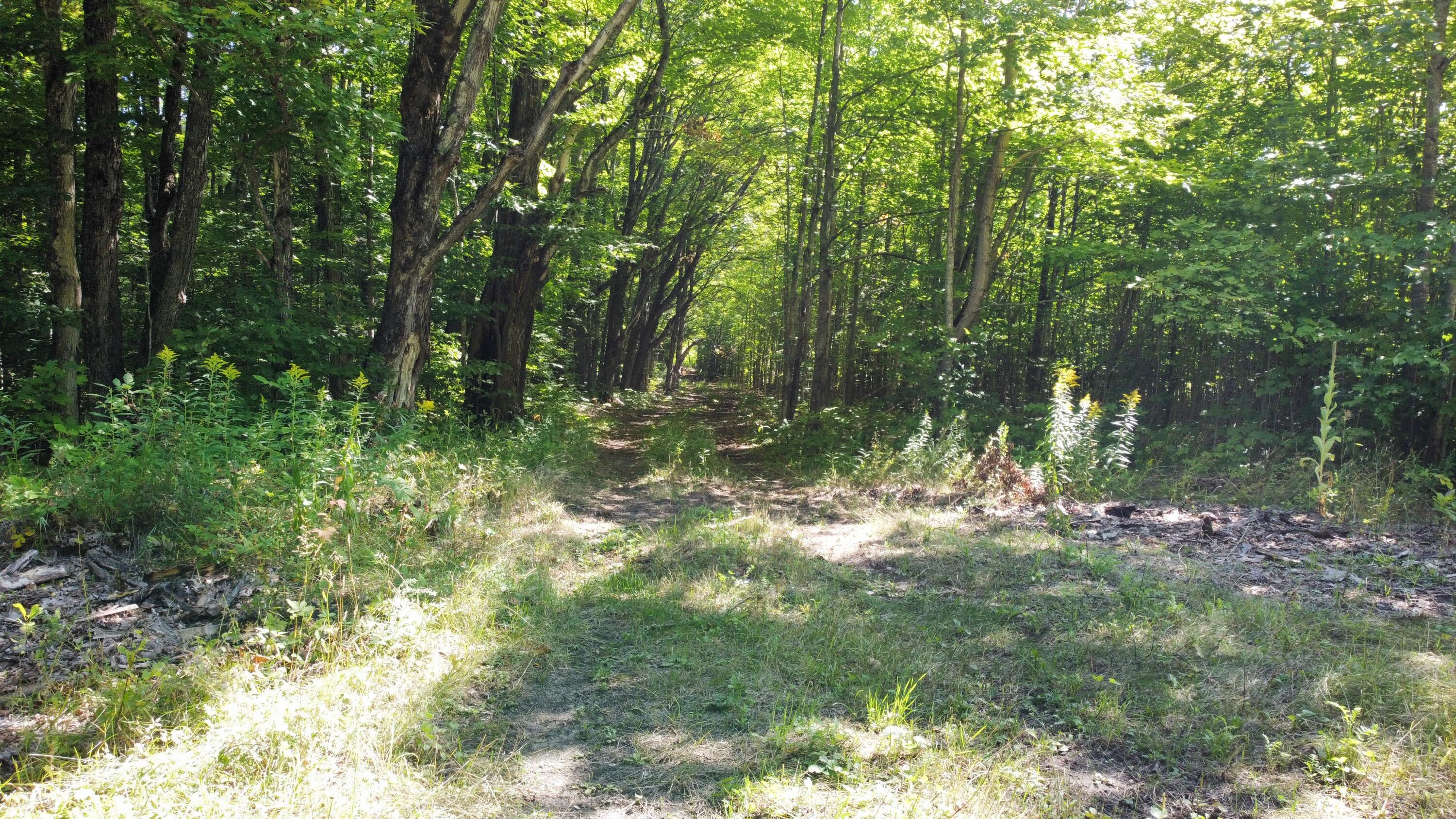 Tbd North Webb Road Hessel, MI 49745 - Photo 9 of 11 Gallery Image 9