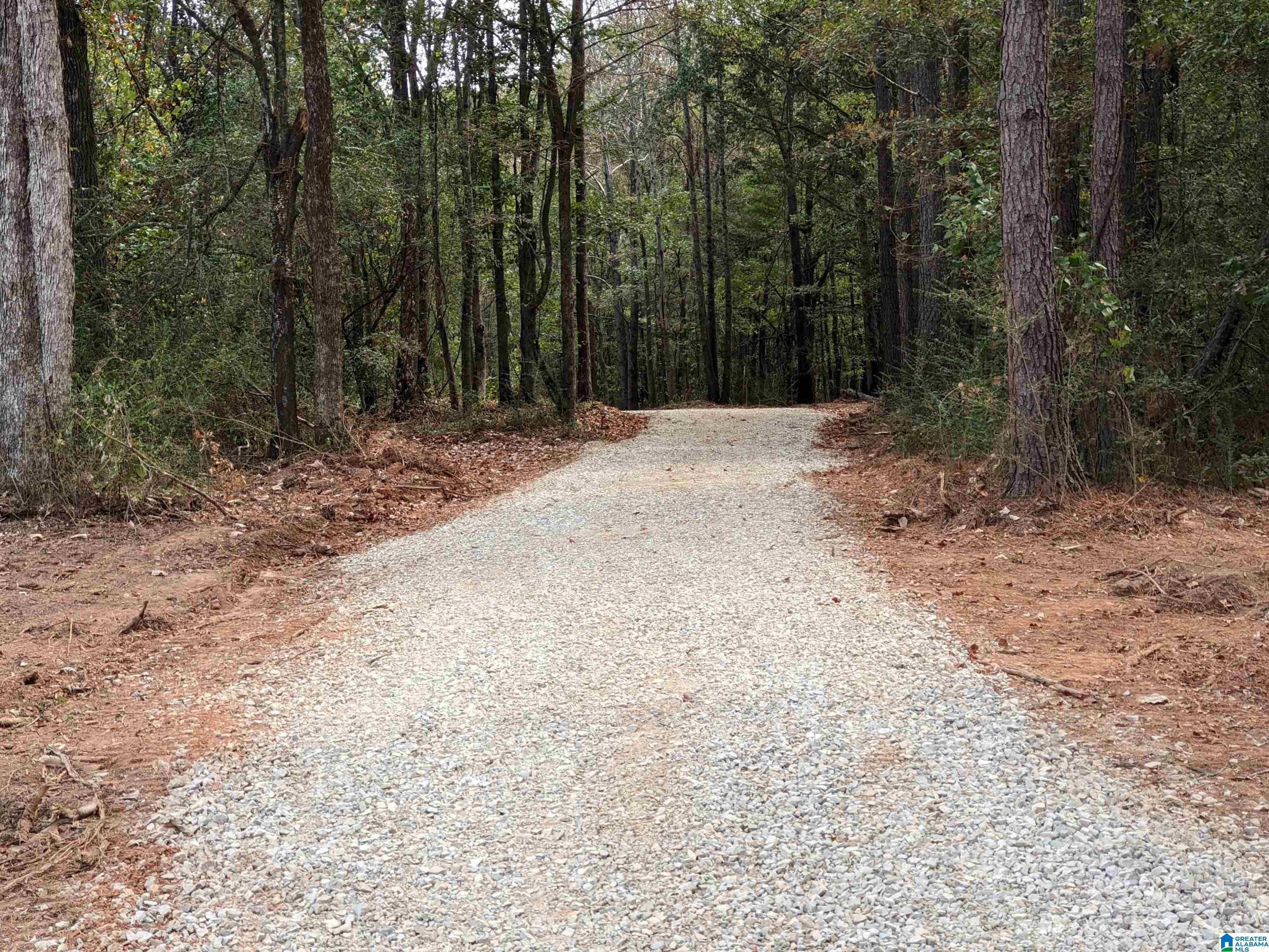 16091 Jackson Trace Road Lincoln, AL 35096 - Photo 3 of 17