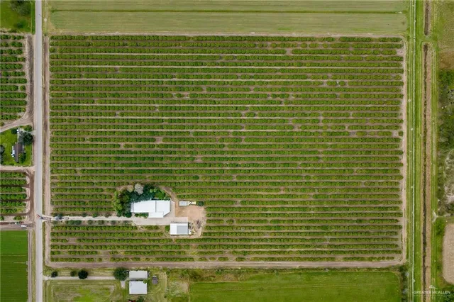 $1,375,000 | 492 West Trenton Road, Donna, TX 78537