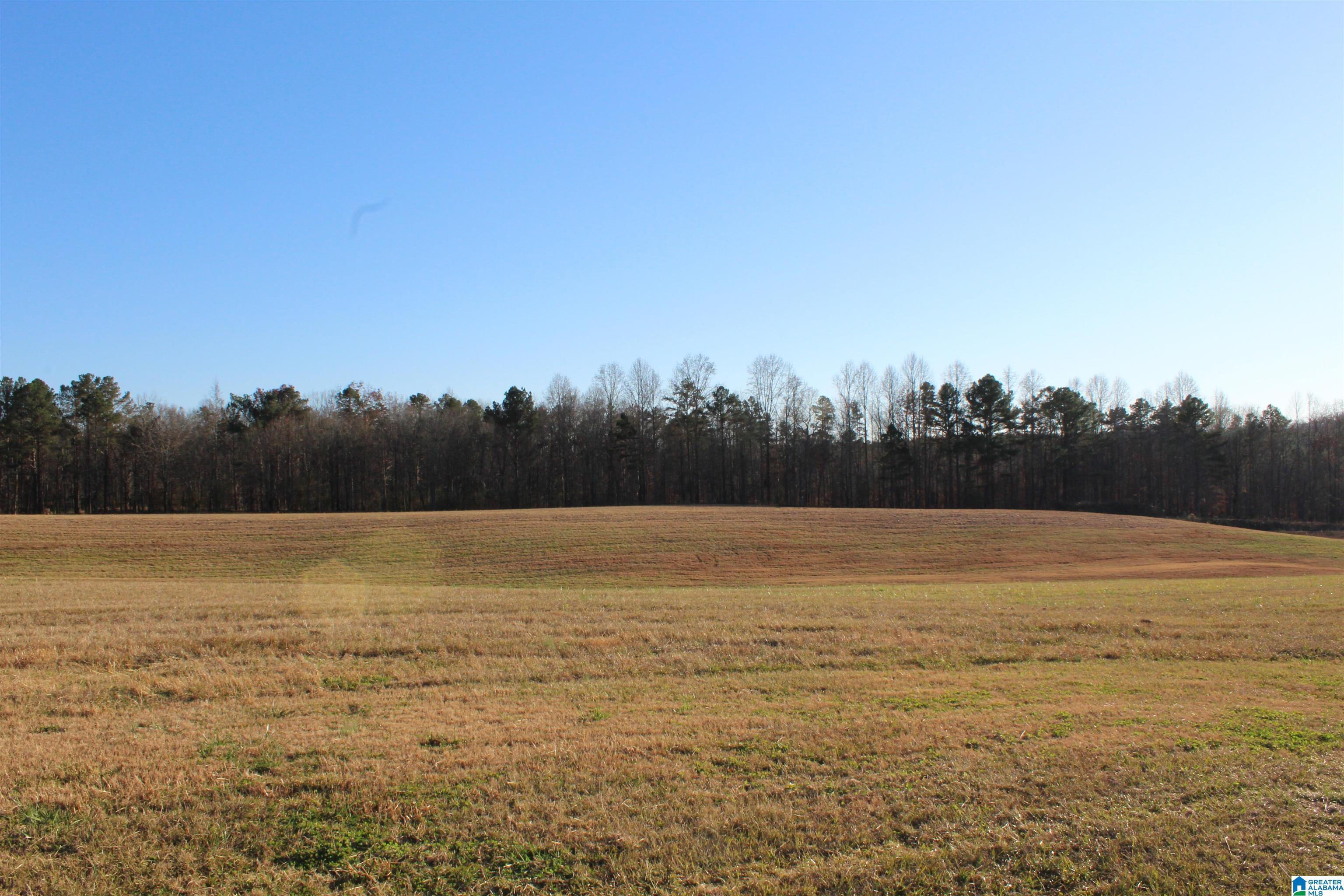 589 Morris Road Pell City, AL 35128 - Photo 18 of 29