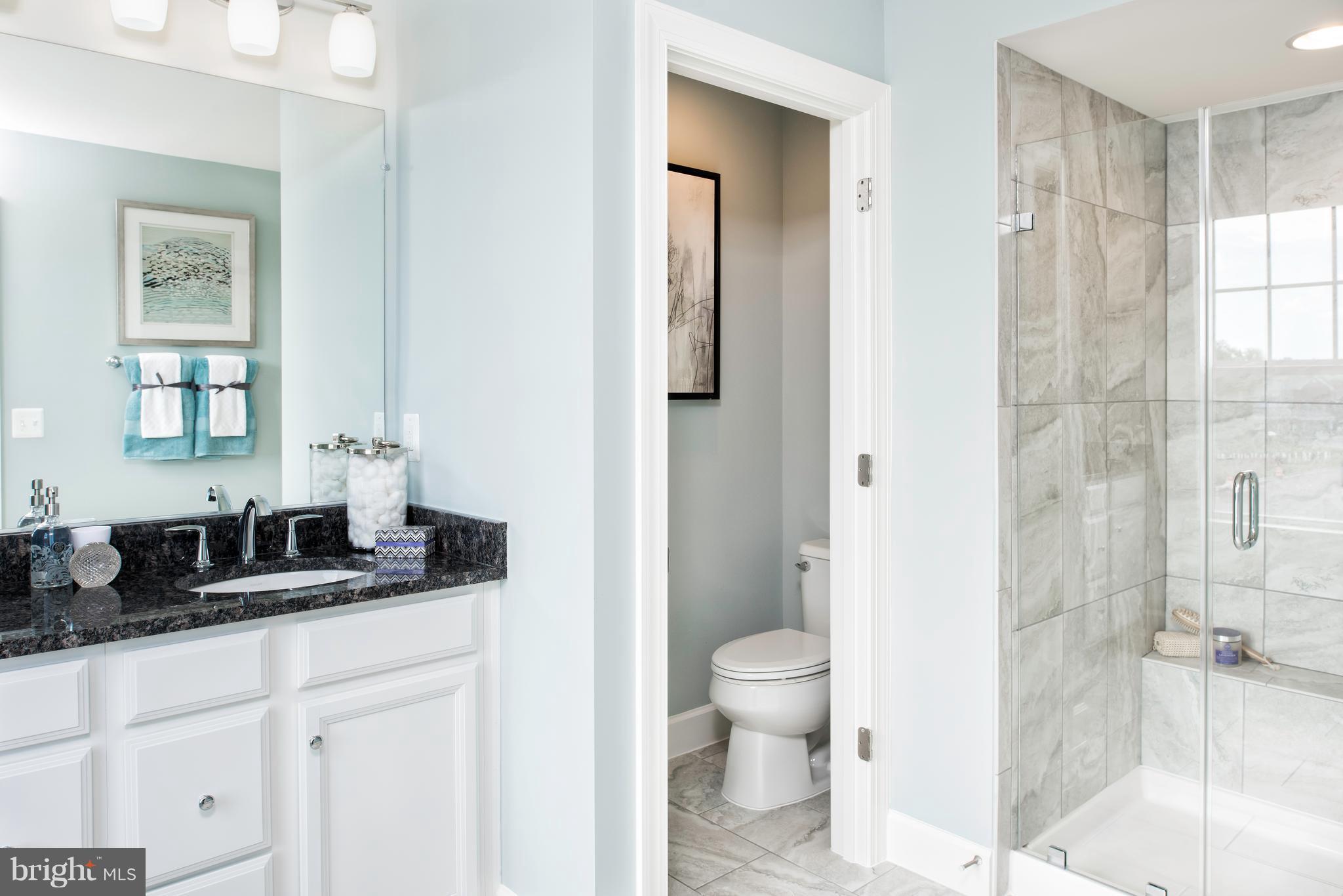 9159 Fox Stream Way Upper Marlboro, MD 20772 - Photo 23 of 30 Bath (Master)