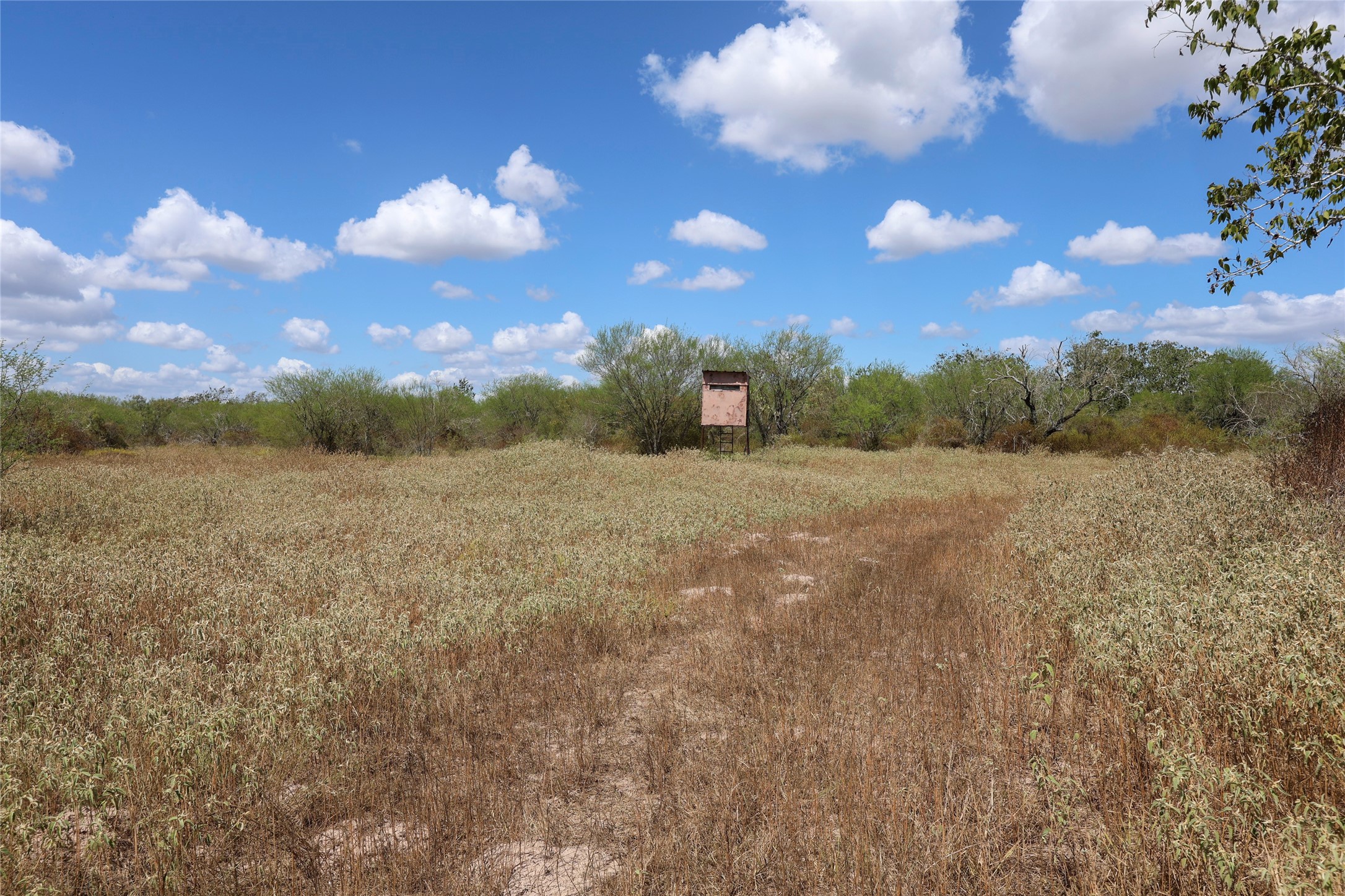 Tbd Parsons Road Victoria, TX 77904 - Photo 18 of 24 Gallery Image 18