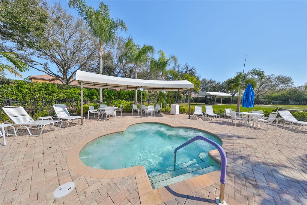 147 Silver Falls Drive Apollo Beach, FL 33572 - Photo 53 of 72