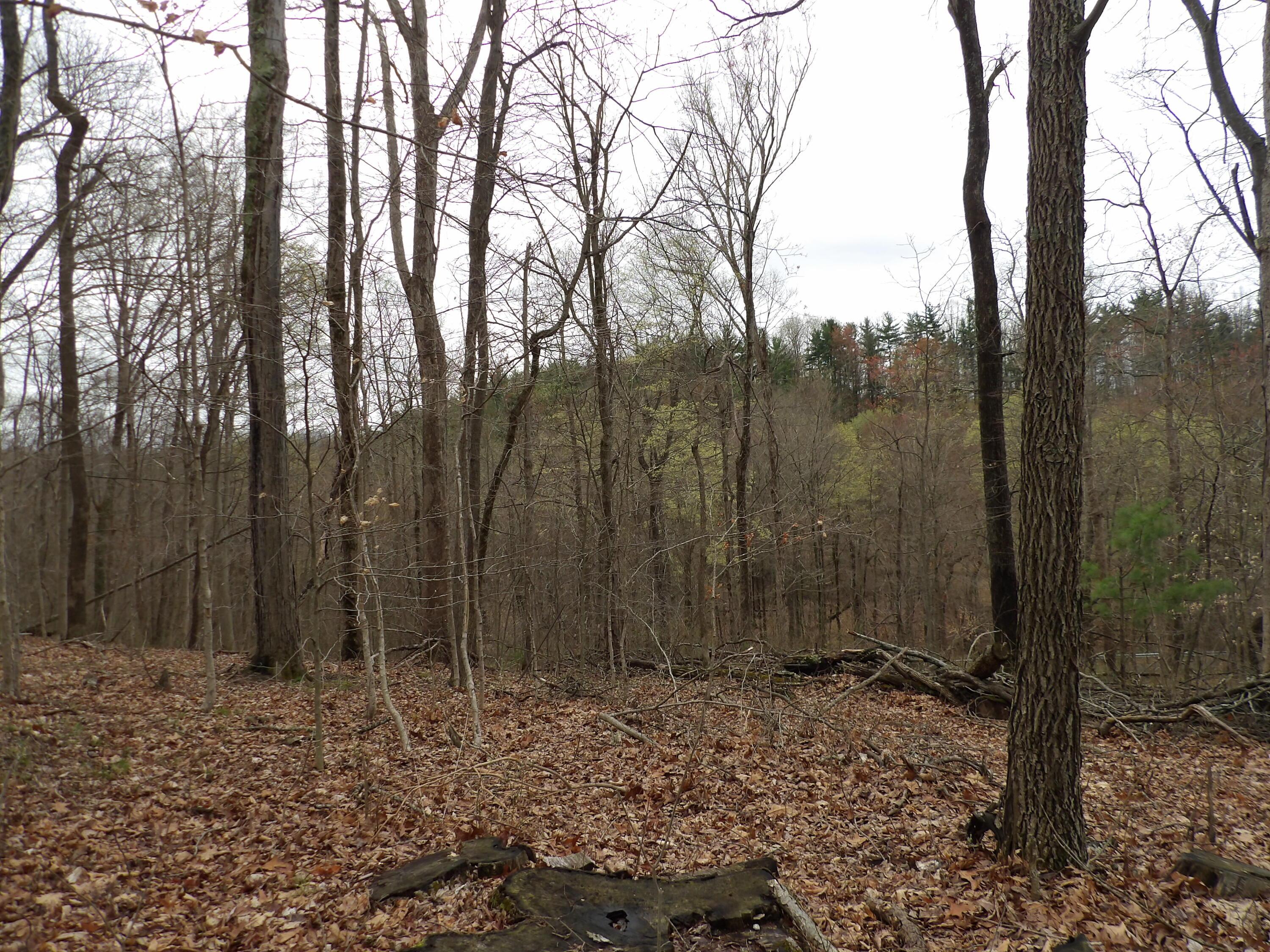 6723 Zwickle Road Logan, OH 43138 - Photo 40 of 58 104_1784