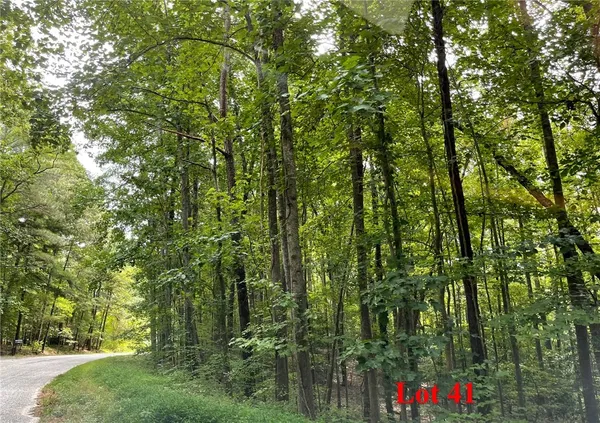 $45,000 | Lot 41 Wicomico Drive, Heathsville, VA 22473