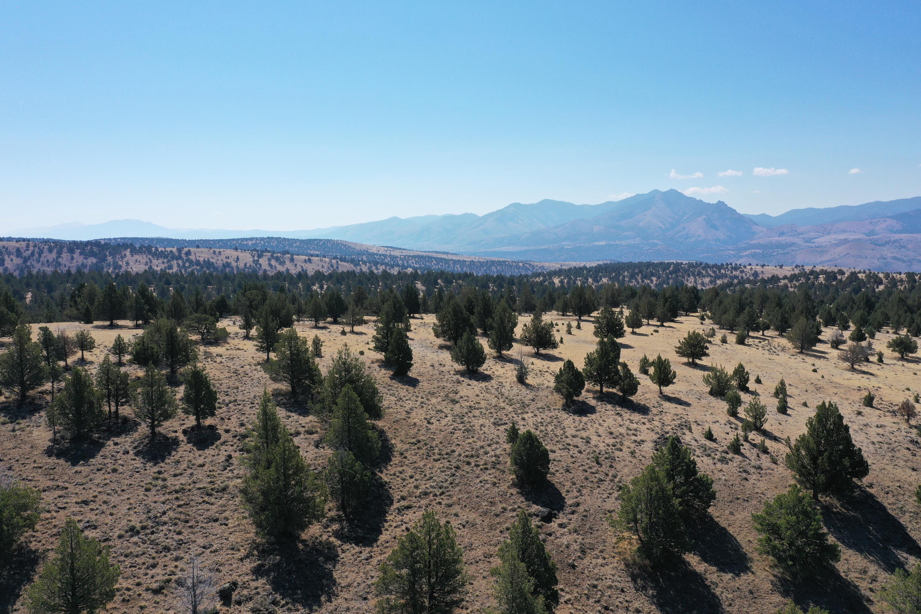 Mountain Views