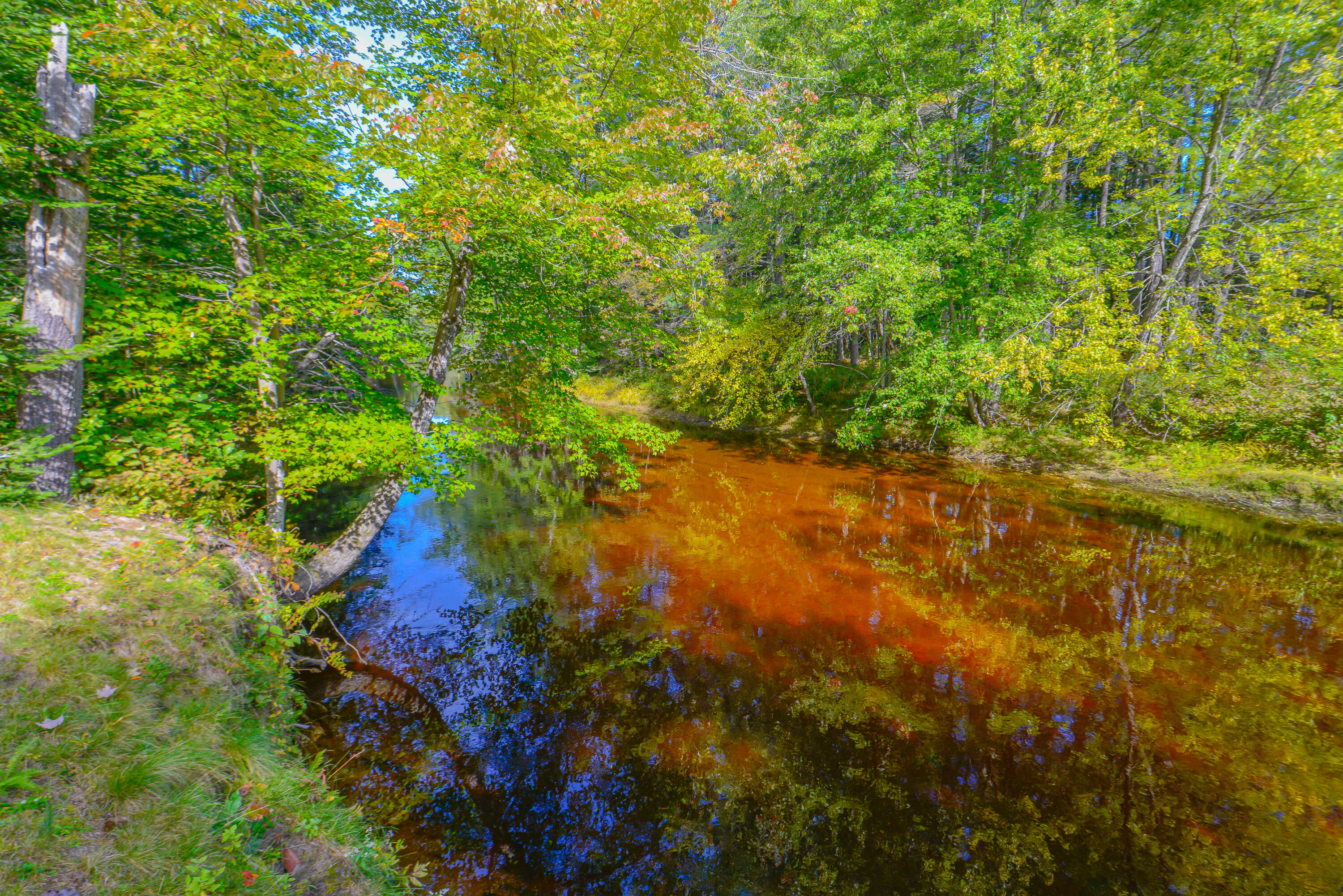 24 Dragon Back Road Naples, ME 04055 - Photo 44 of 45 24 dragon back road-17
