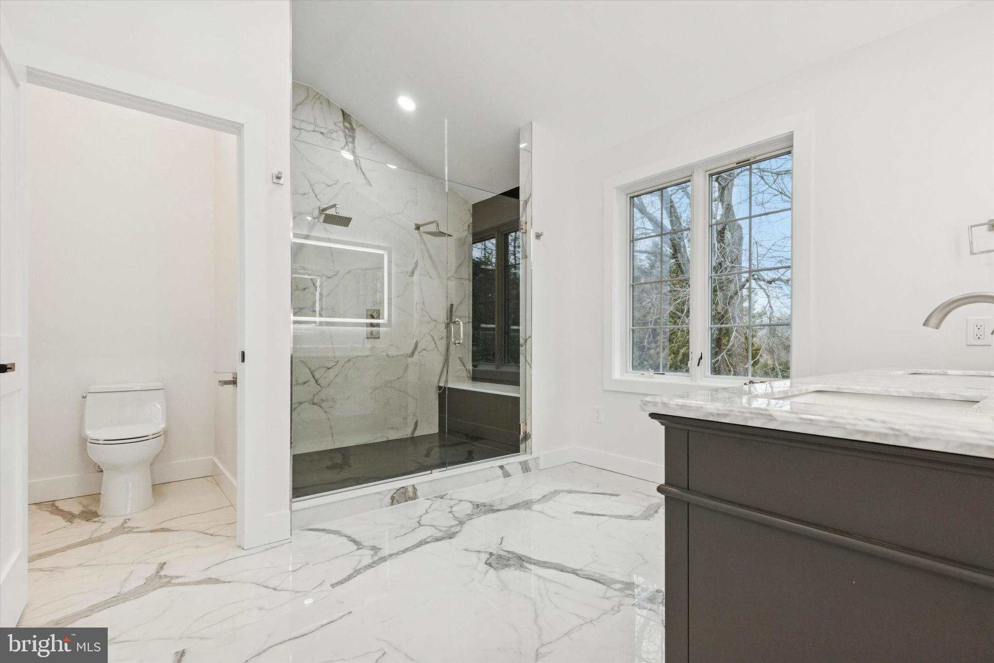 780 Hobbs Road Wayne, PA 19087 - Photo 54 of 94 a bathroom with a sink a toilet and shower