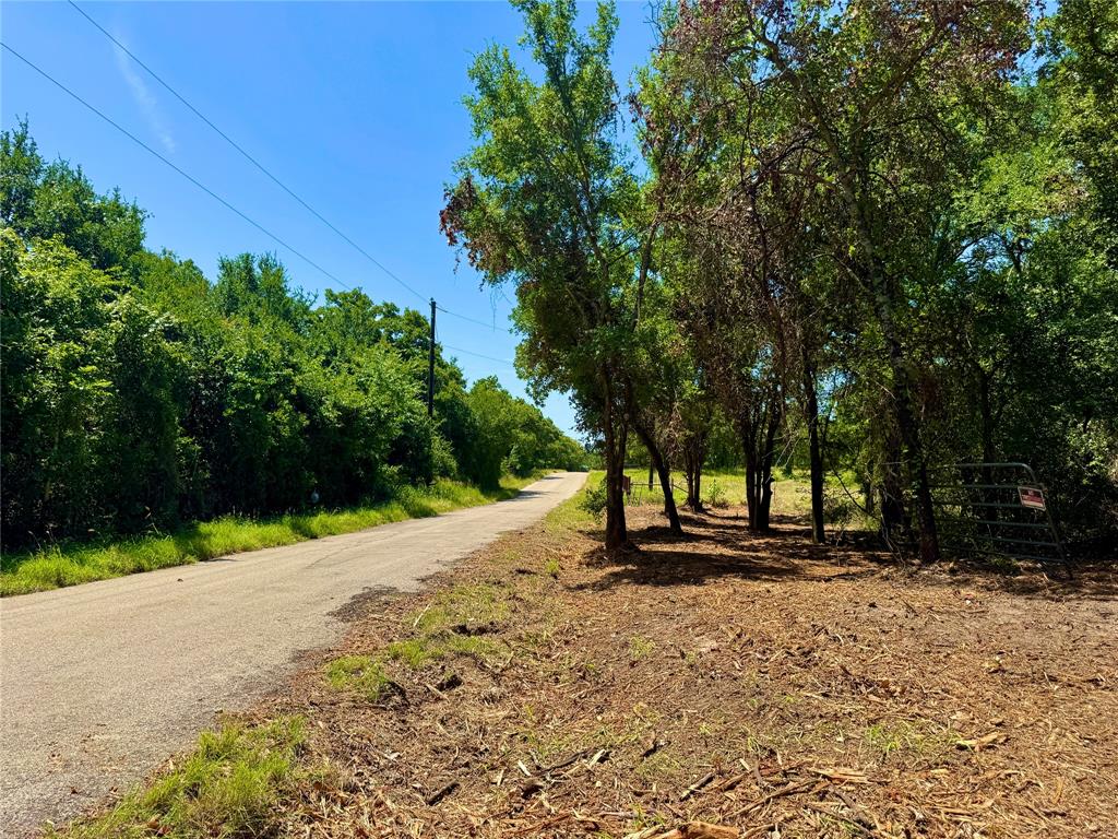 350 Indian Camp Road Weatherford, TX 76088 - Photo 6 of 18 a view of outdoor space with deck and trees