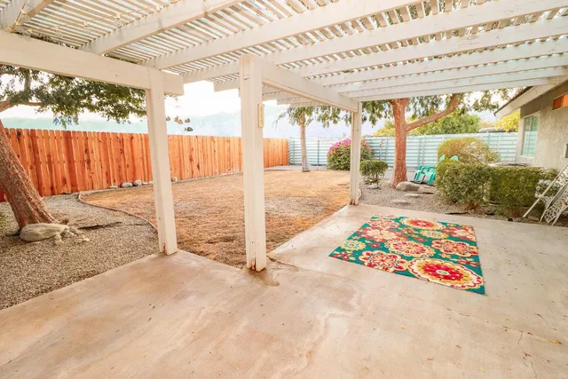 a view of a backyard with potted plants and a large tree