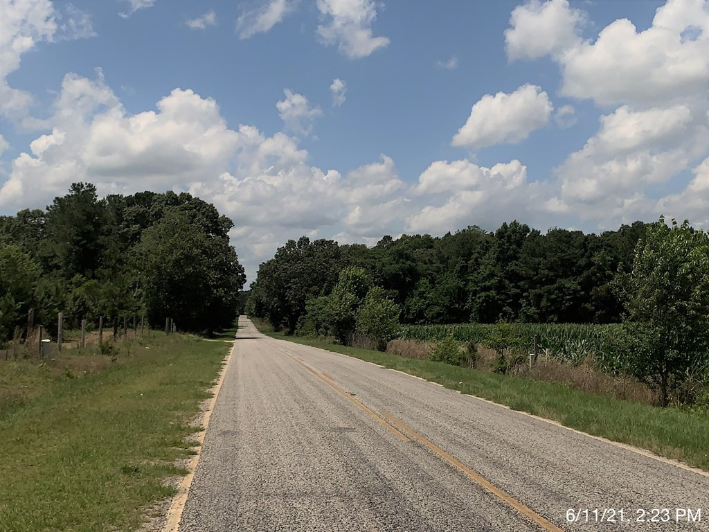 Lot #9 Springvale Road Bishopville, SC 29010 - Photo 3 of 3 Gallery Image 3