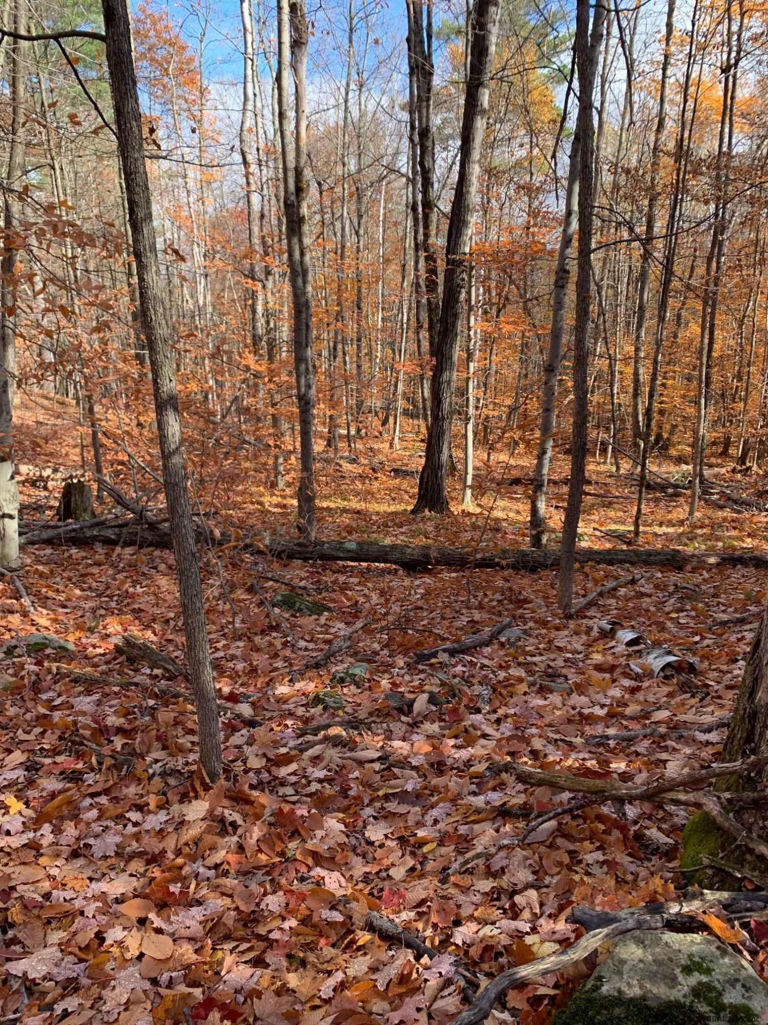 0 Cross Road Clemons, NY 12819 - Photo 1 of 12 Photo 1