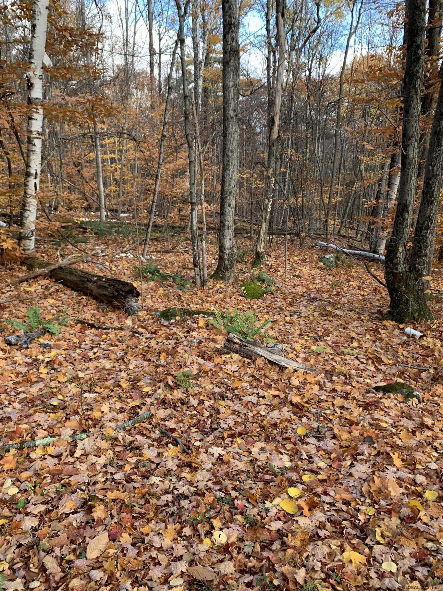 0 Cross Road Clemons, NY 12819 - Photo 4 of 12 Photo 4