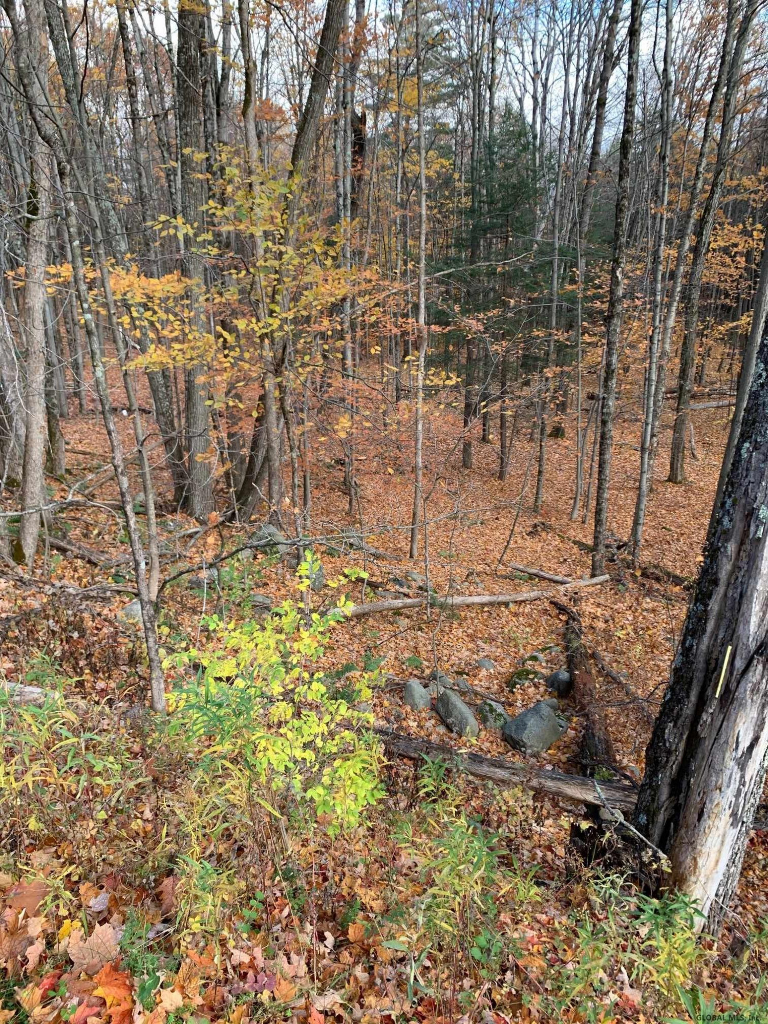 0 Cross Road Clemons, NY 12819 - Photo 5 of 12 Photo 5