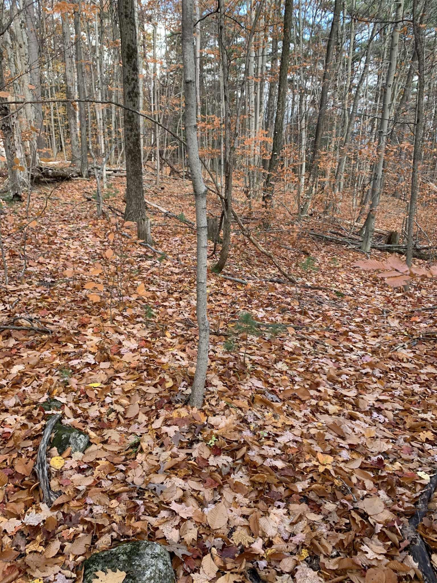 0 Cross Road Clemons, NY 12819 - Photo 6 of 12 Photo 6