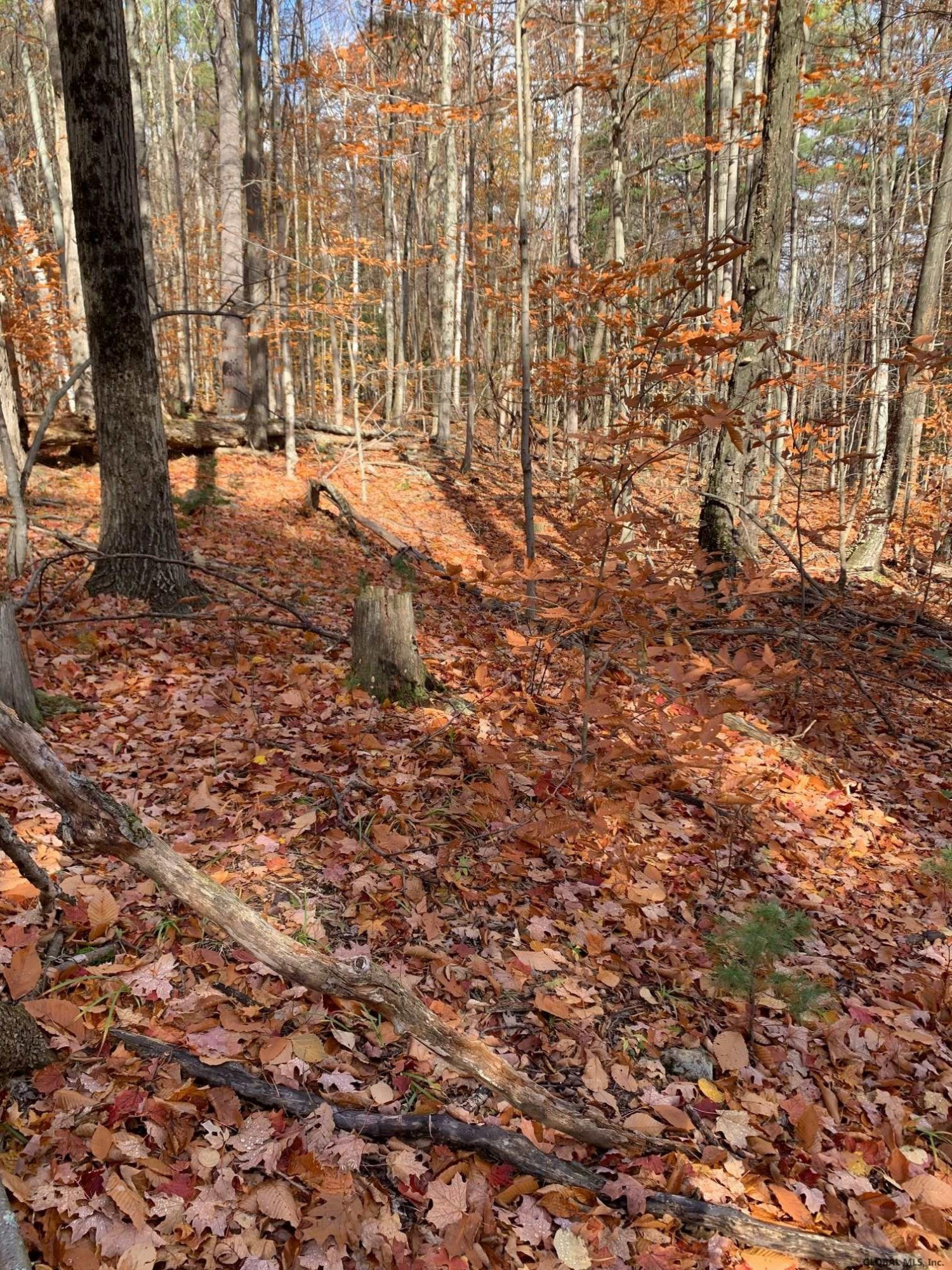 0 Cross Road Clemons, NY 12819 - Photo 7 of 12 Photo 7