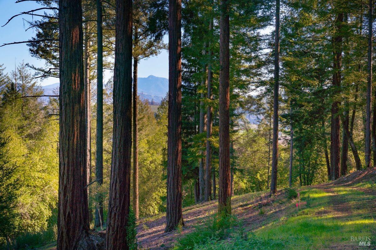 3210 West Dry Creek Road Healdsburg, CA 95448 - Photo 4 of 31