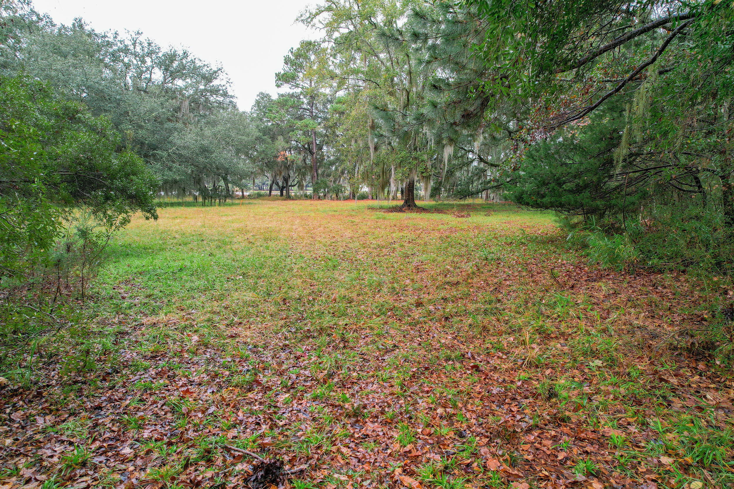 6540 Beagle Club Road Meggett, SC 29449 - Photo 11 of 31 DJI_0002