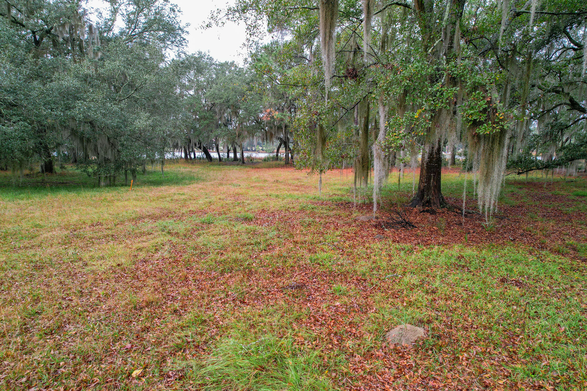 6540 Beagle Club Road Meggett, SC 29449 - Photo 13 of 31 DJI_0004