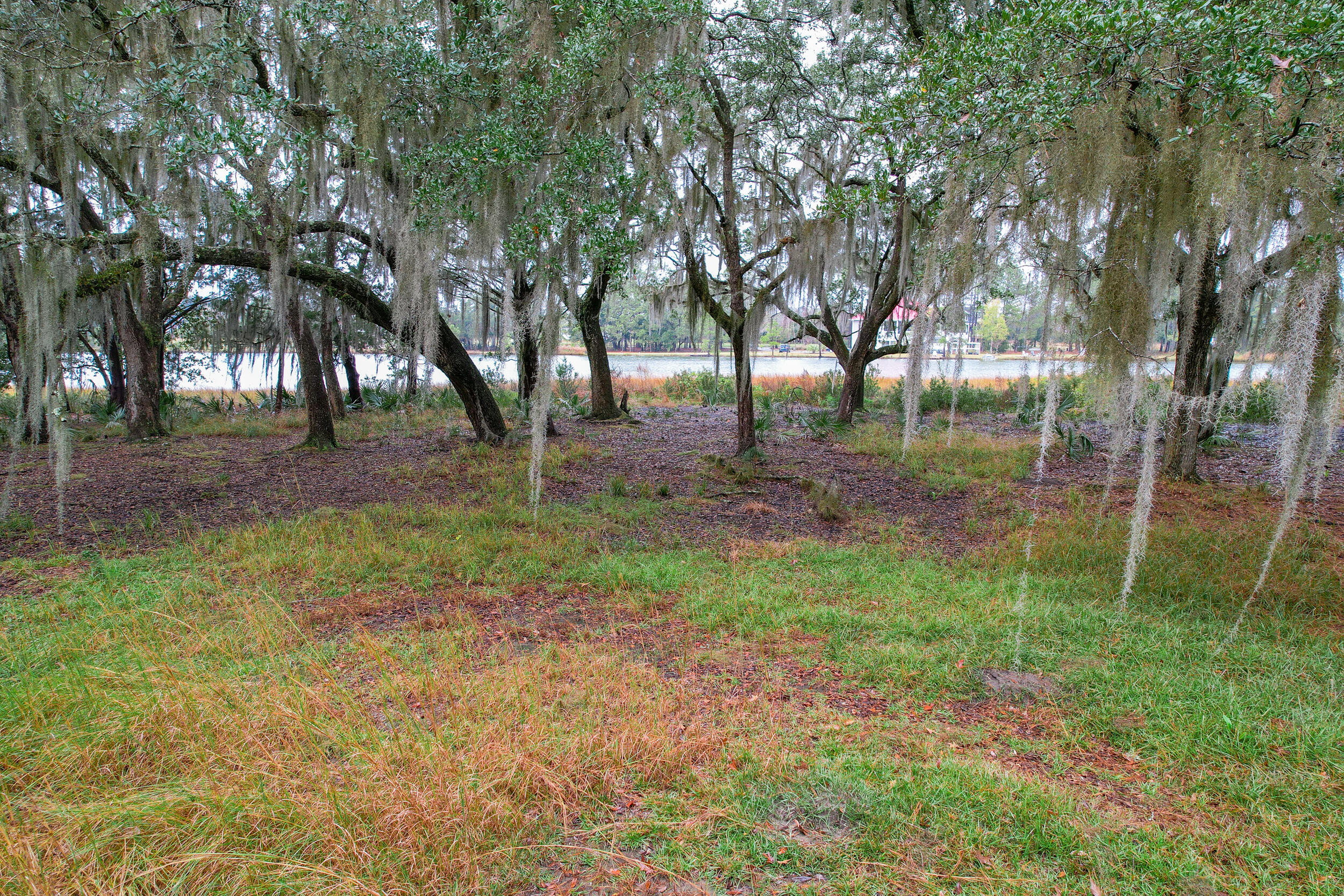 6540 Beagle Club Road Meggett, SC 29449 - Photo 14 of 31 DJI_0007