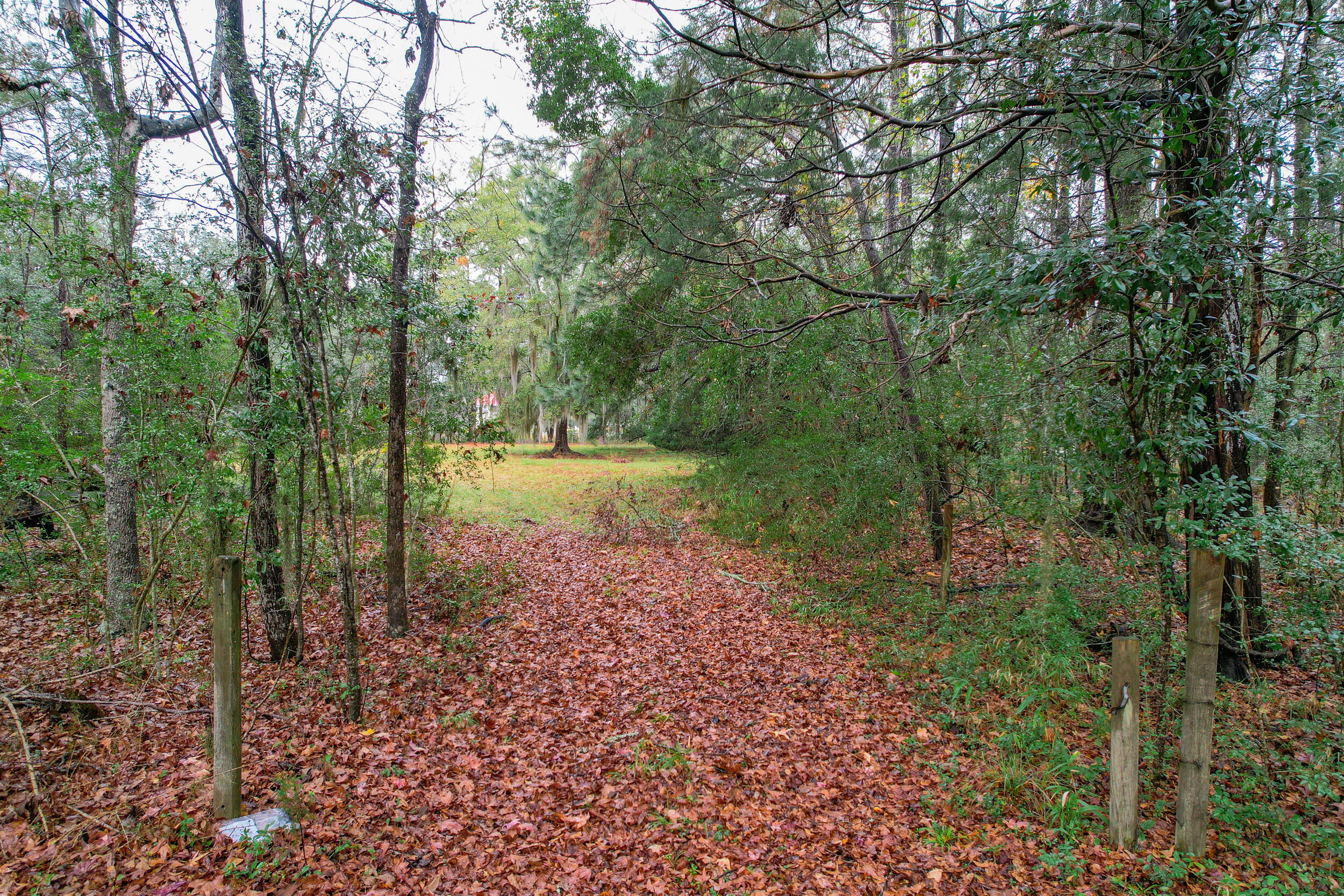 6540 Beagle Club Road Meggett, SC 29449 - Photo 16 of 31 DJI_0026