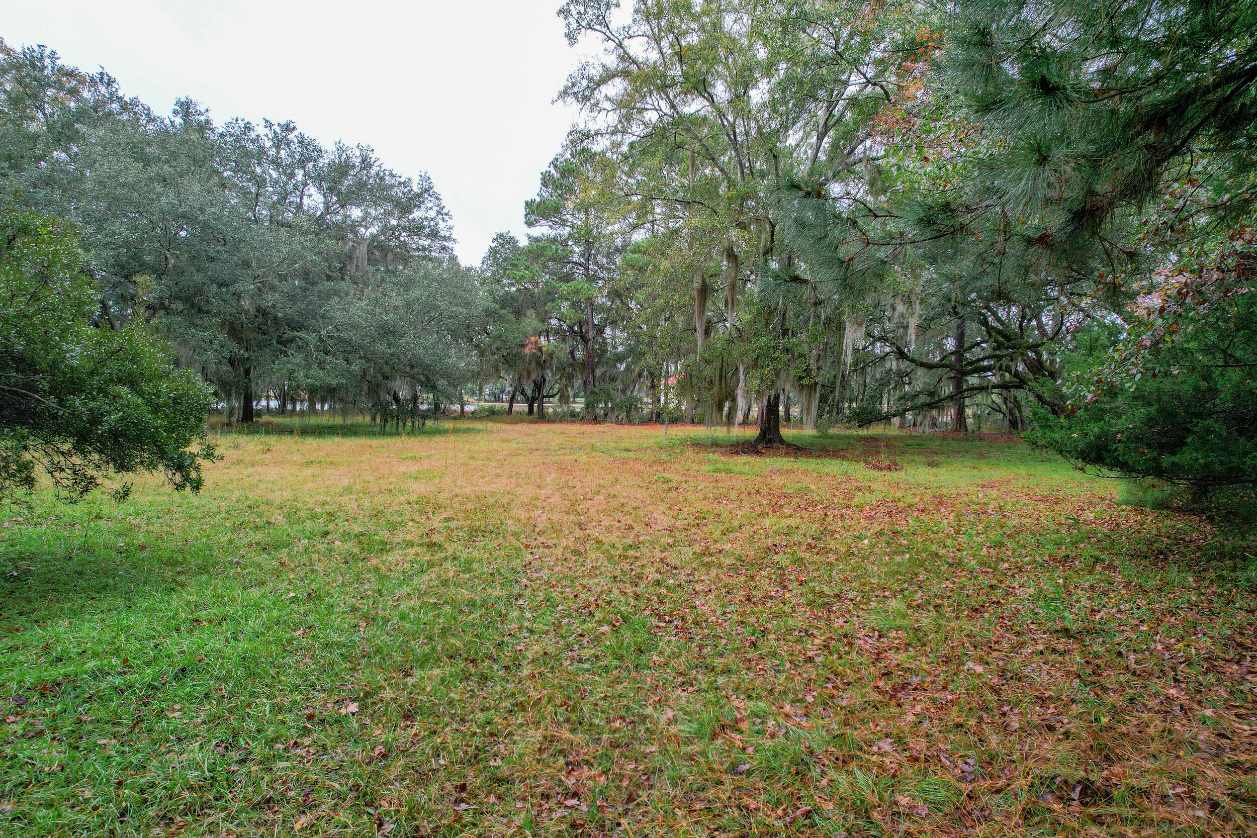 6540 Beagle Club Road Meggett, SC 29449 - Photo 17 of 31 DJI_0027